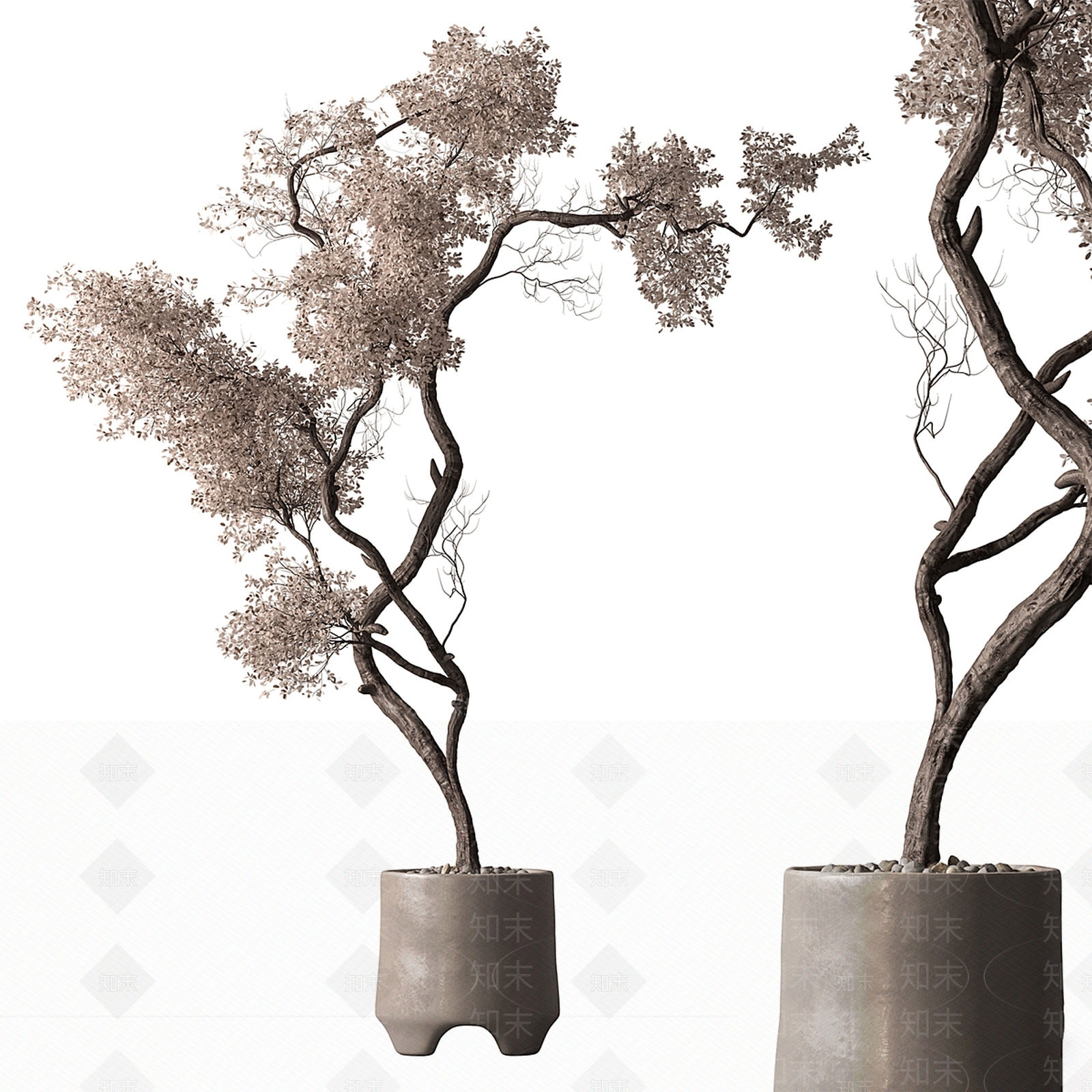 盆景3D模型下载【ID:1197904129】