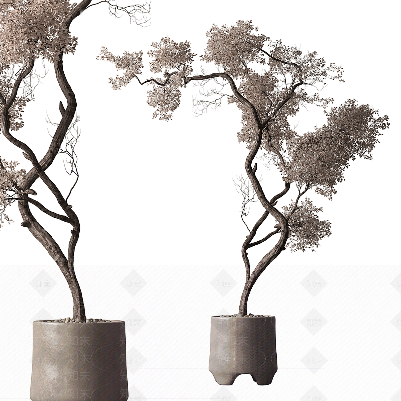 盆景3D模型下载【ID:1197904129】