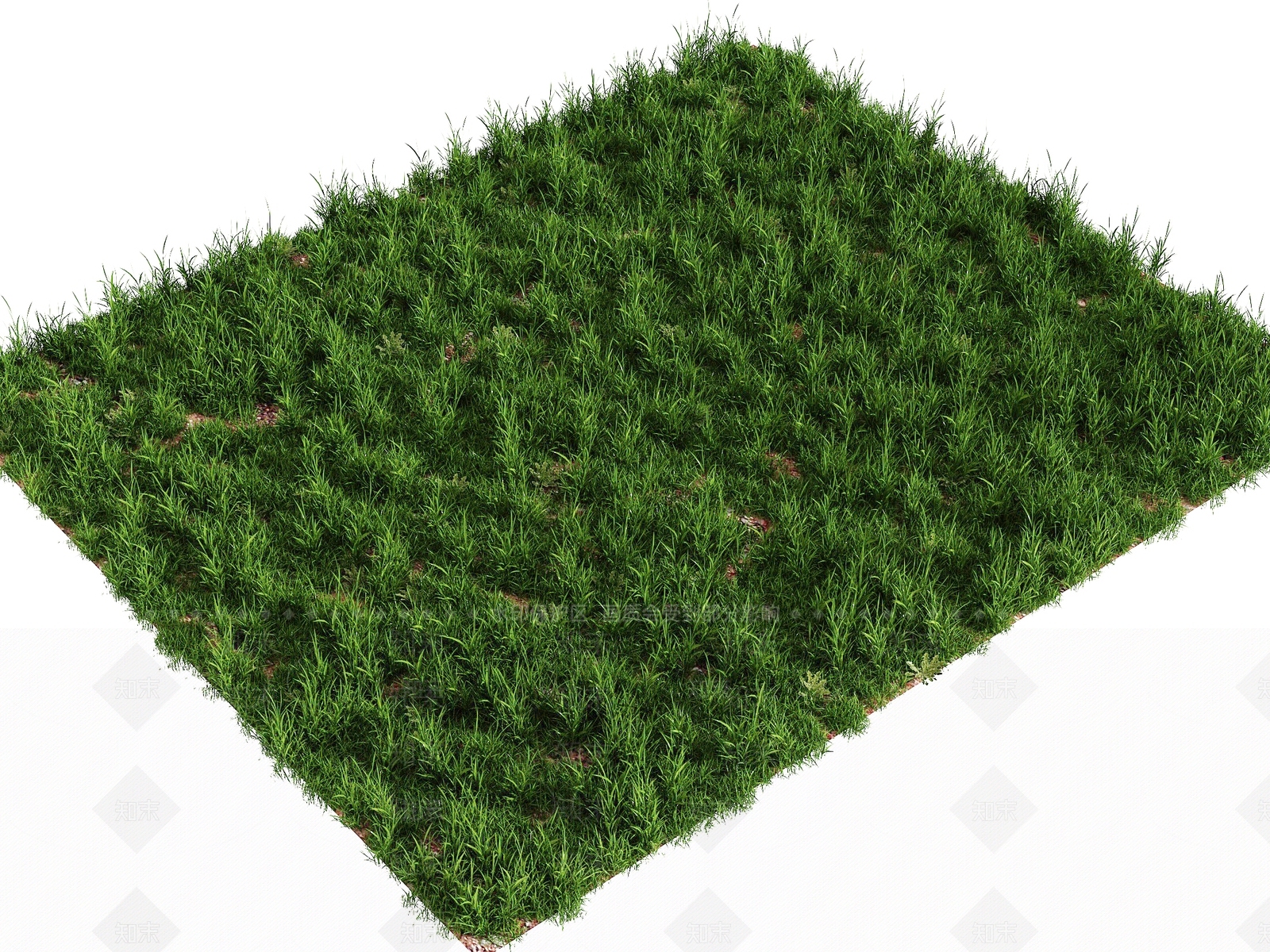 草3D模型下载【ID:1197916213】