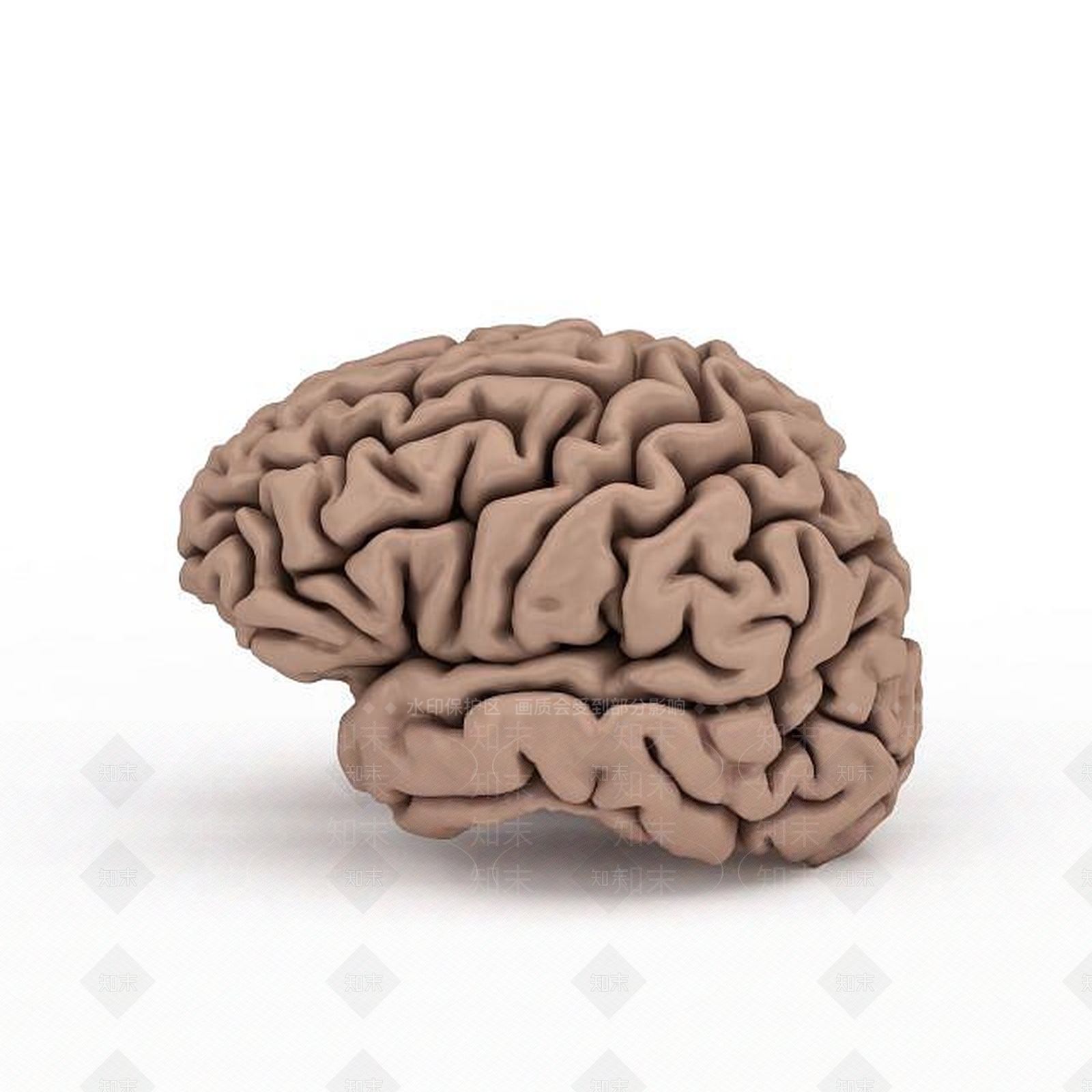 现代摆件组合3D模型下载【ID:1197925146】