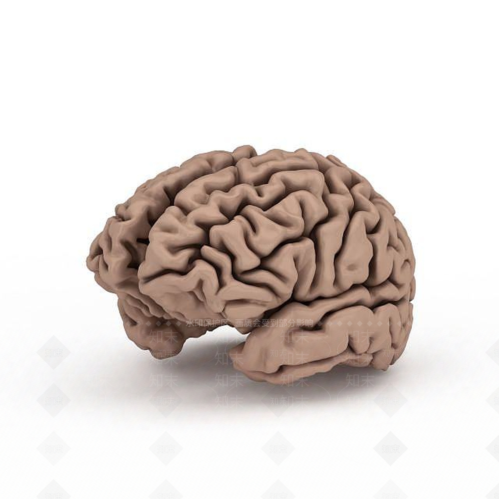 现代摆件组合3D模型下载【ID:1197925146】