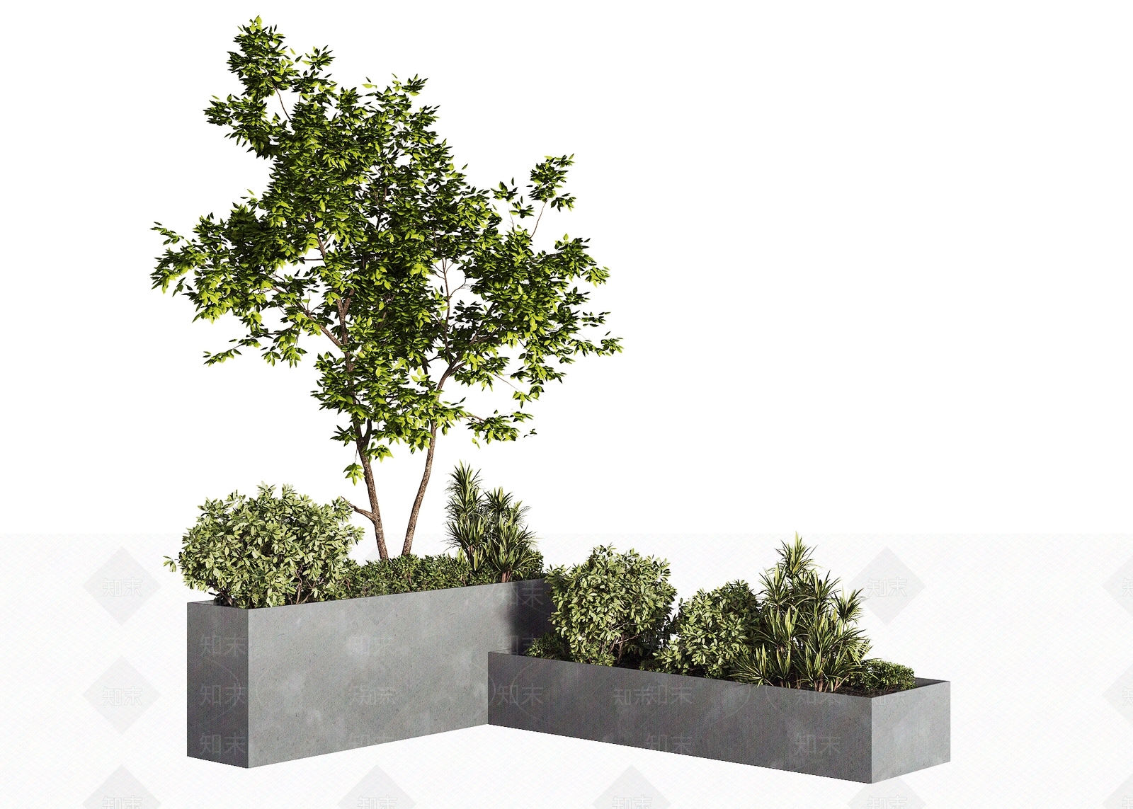 景观树3D模型下载【ID:1197952707】
