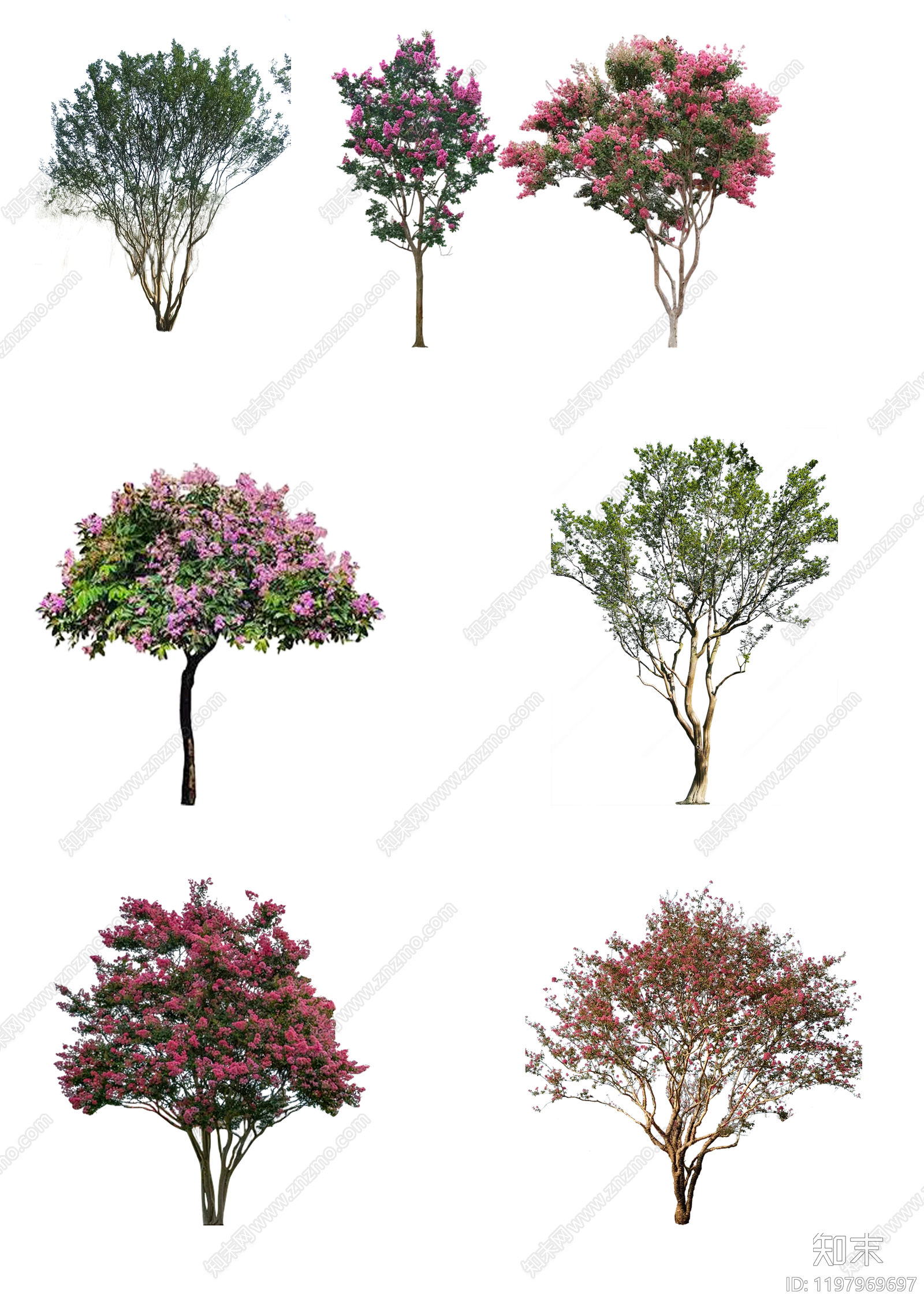 现代新中式其他树木下载【ID:1197969697】
