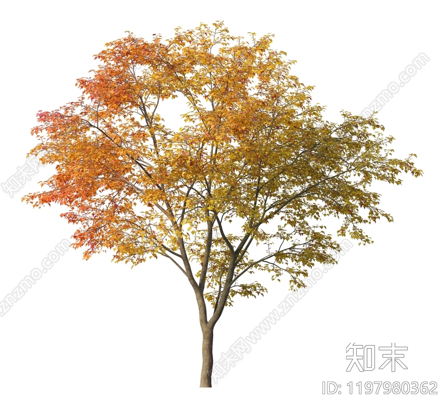 新中式中式乔木下载【ID:1197980362】