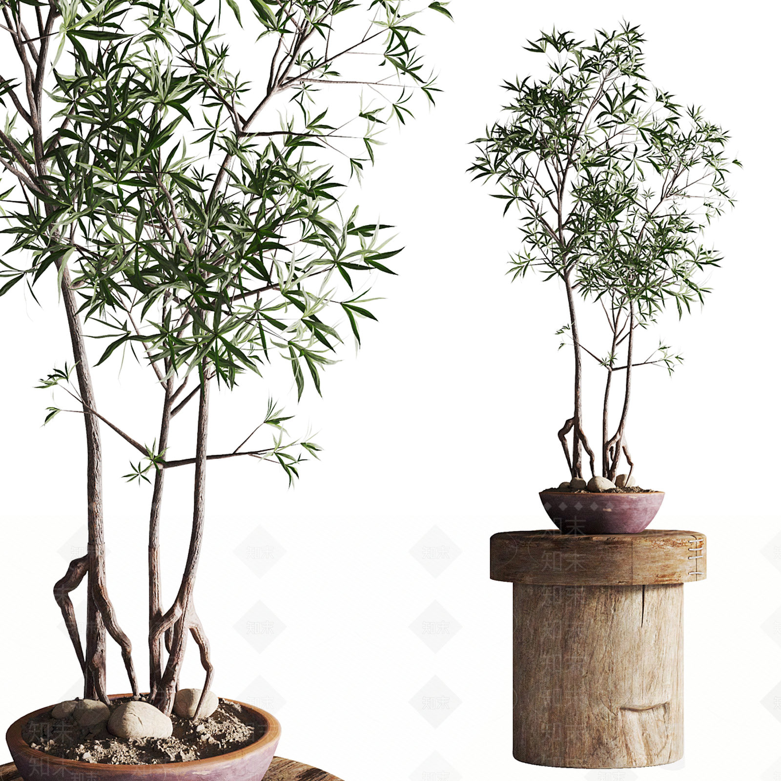 盆栽SU模型下载【ID:1197996868】