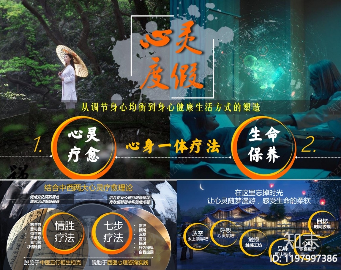 康养文旅下载【ID:1197997386】