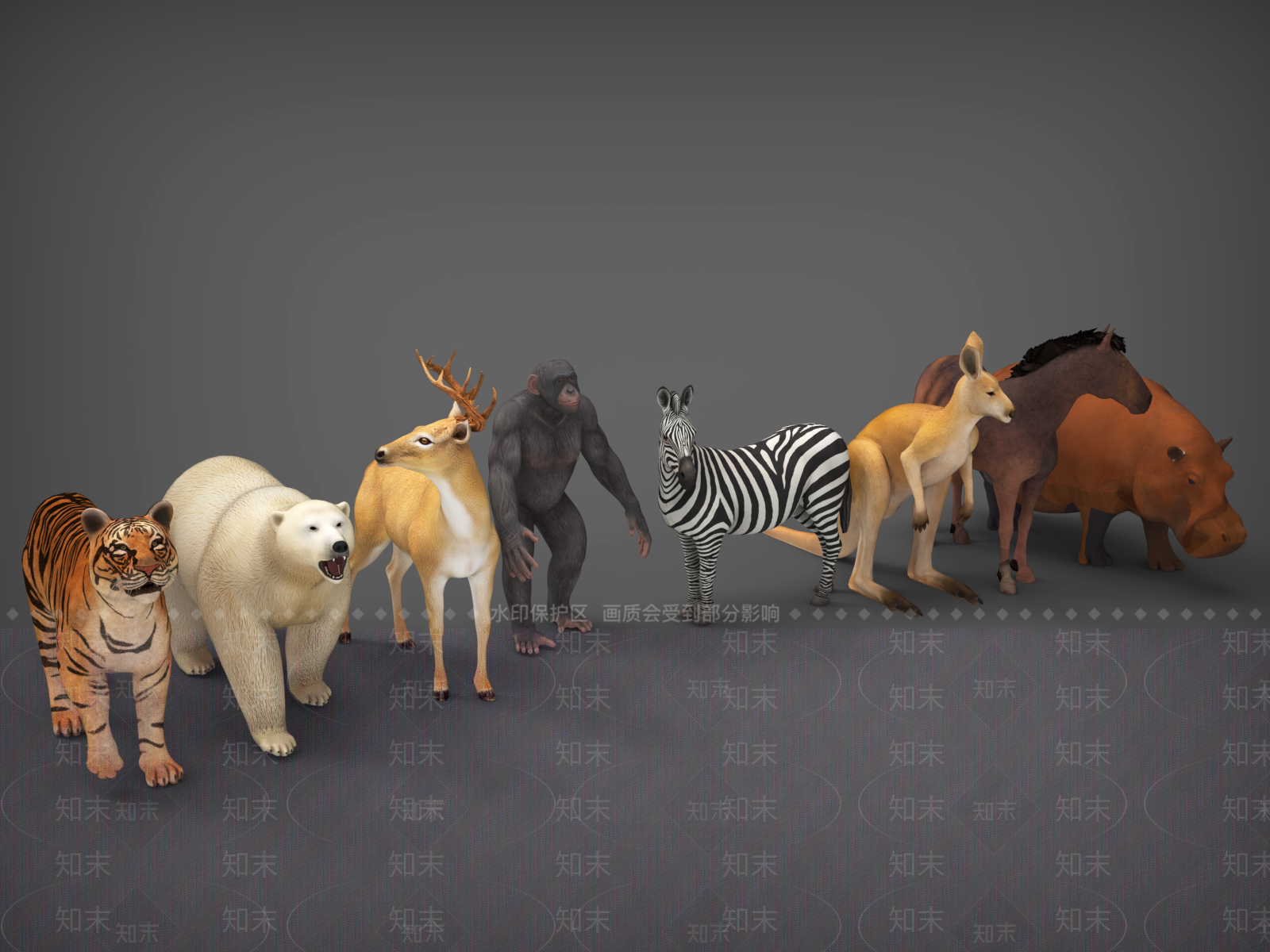 爬行类动物3D模型下载【ID:1198006688】