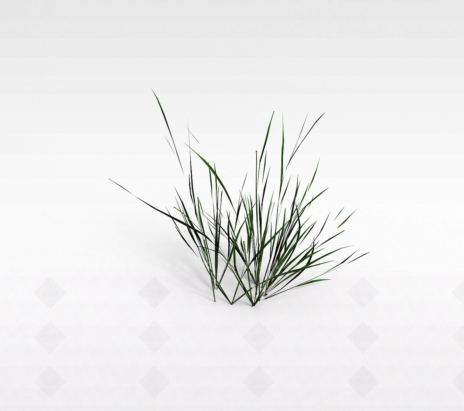 现代草3D模型下载【ID:1198030482】