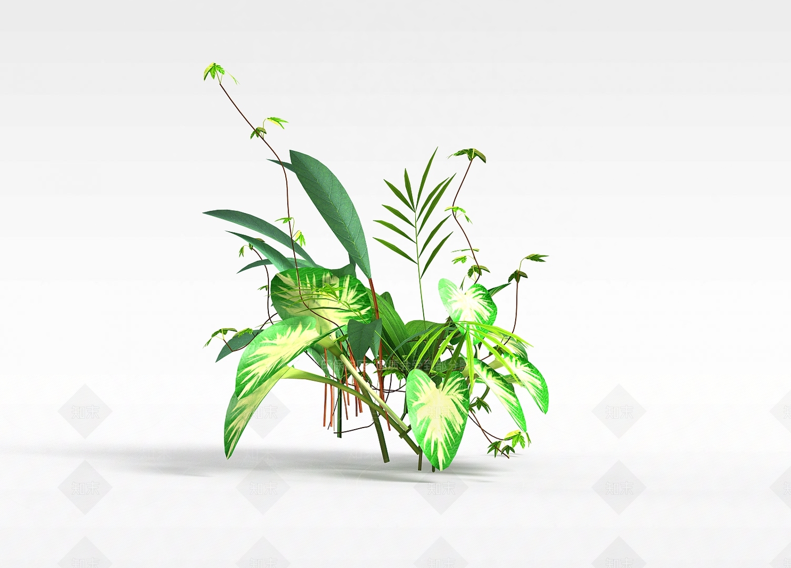现代观赏花草3D模型下载【ID:1198030683】