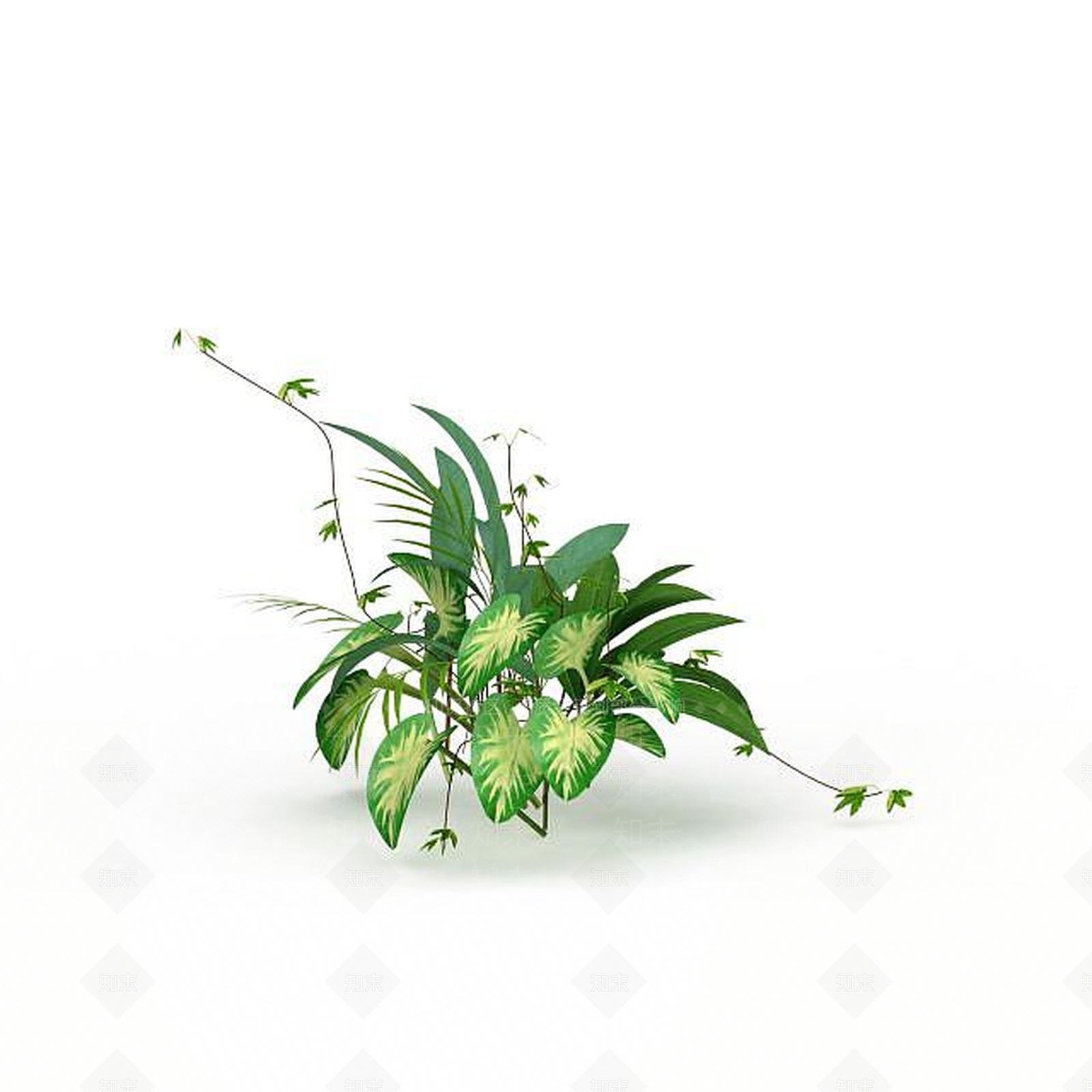 现代观赏花草3D模型下载【ID:1198030683】