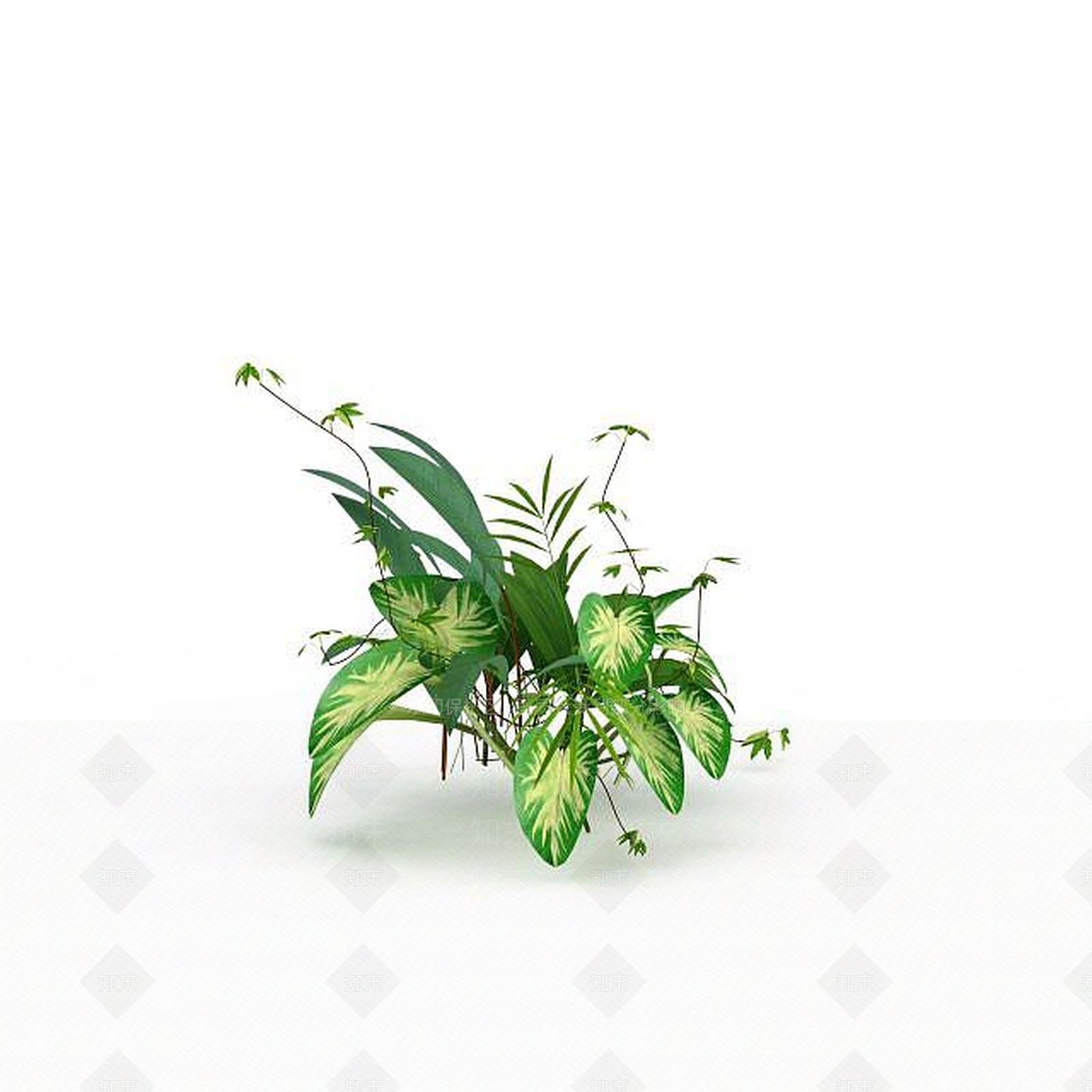 现代观赏花草3D模型下载【ID:1198030683】