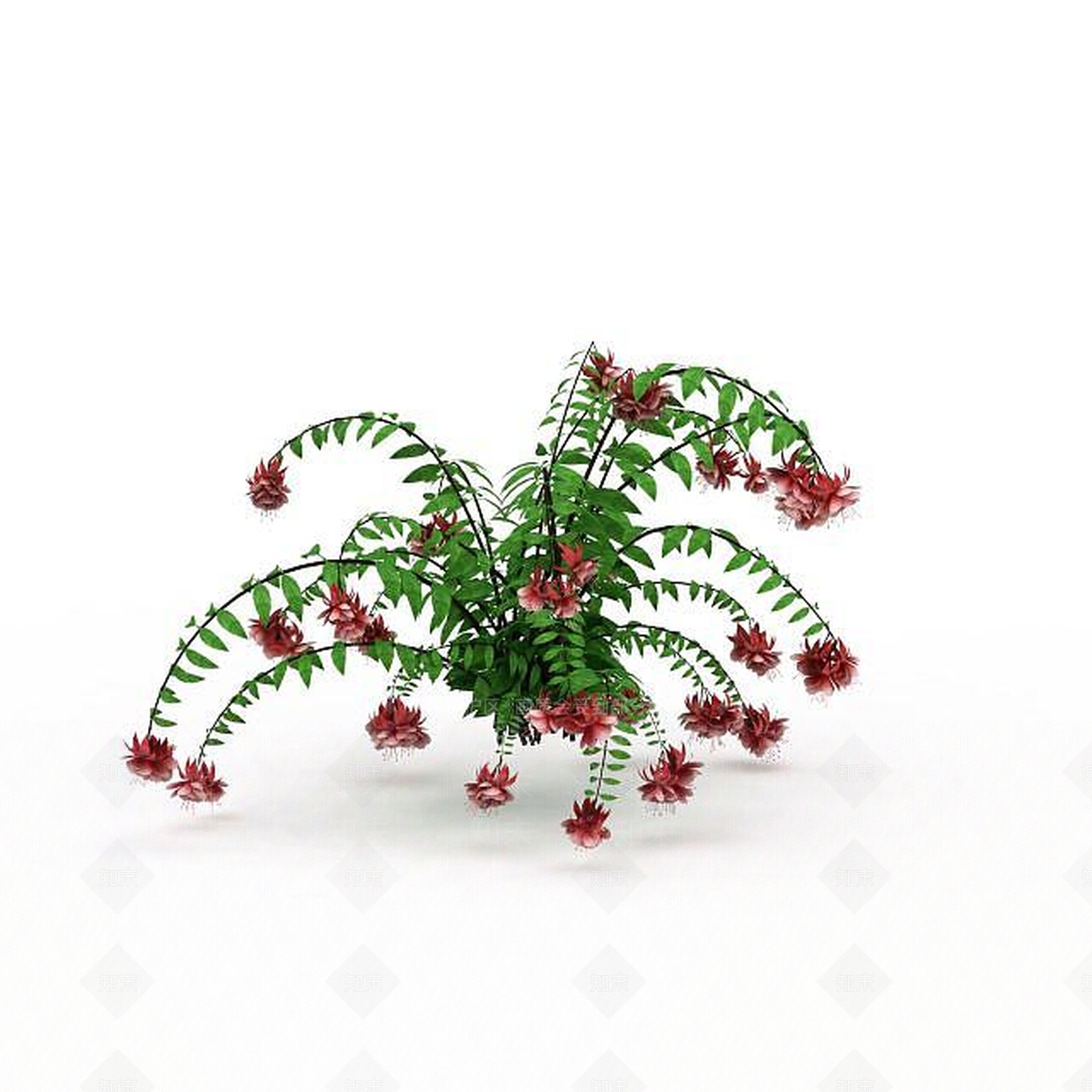 现代开花绿植3D模型下载【ID:1198030667】