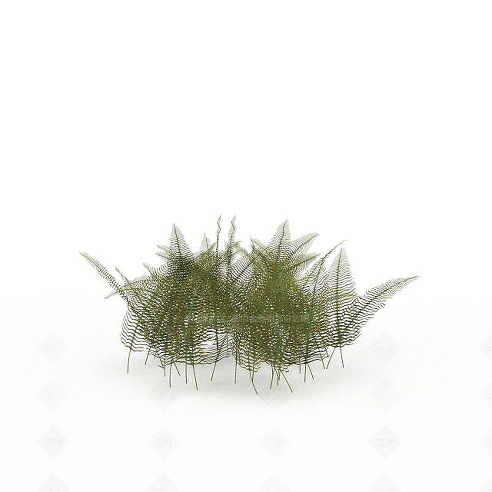 现代热带灌木3D模型下载【ID:1198030745】