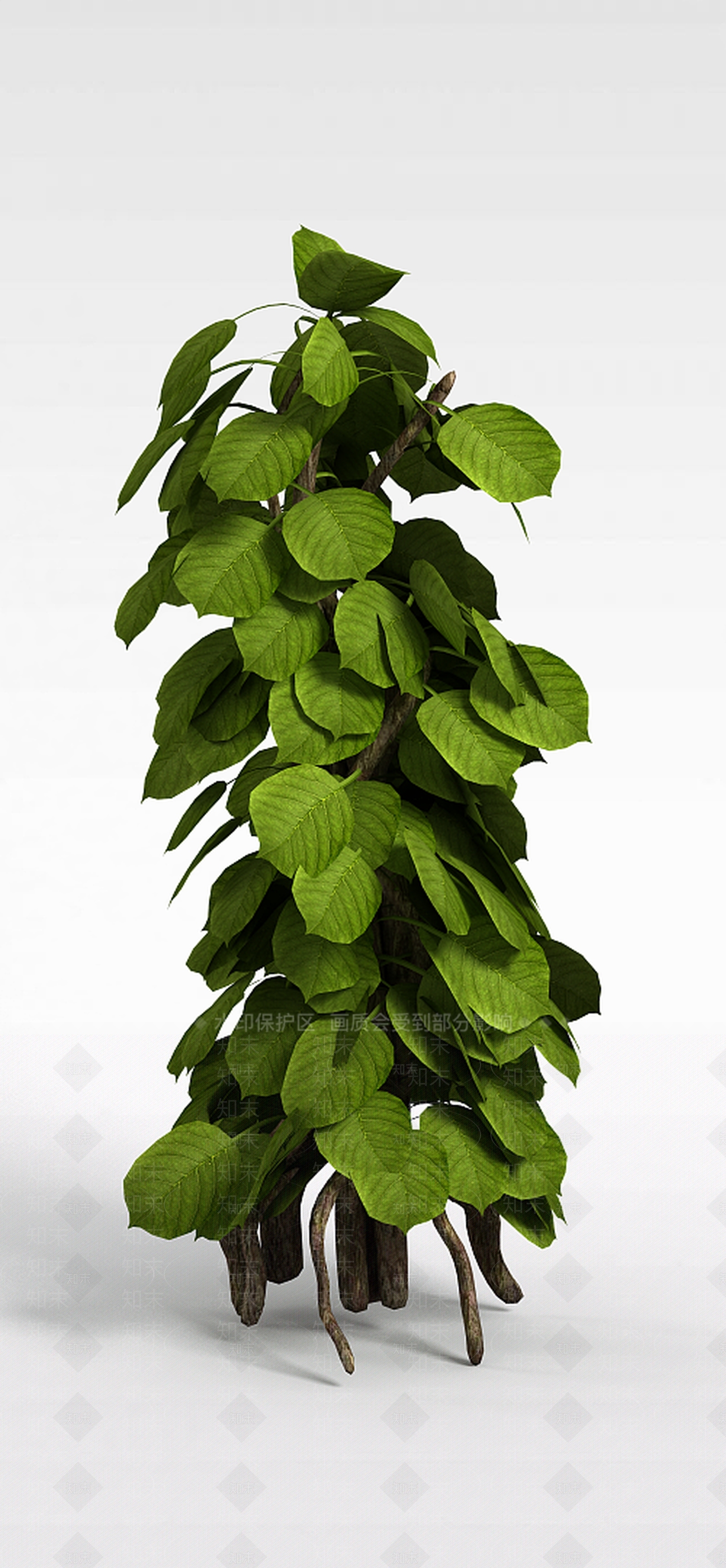 现代观叶植物3D模型下载【ID:1198030830】
