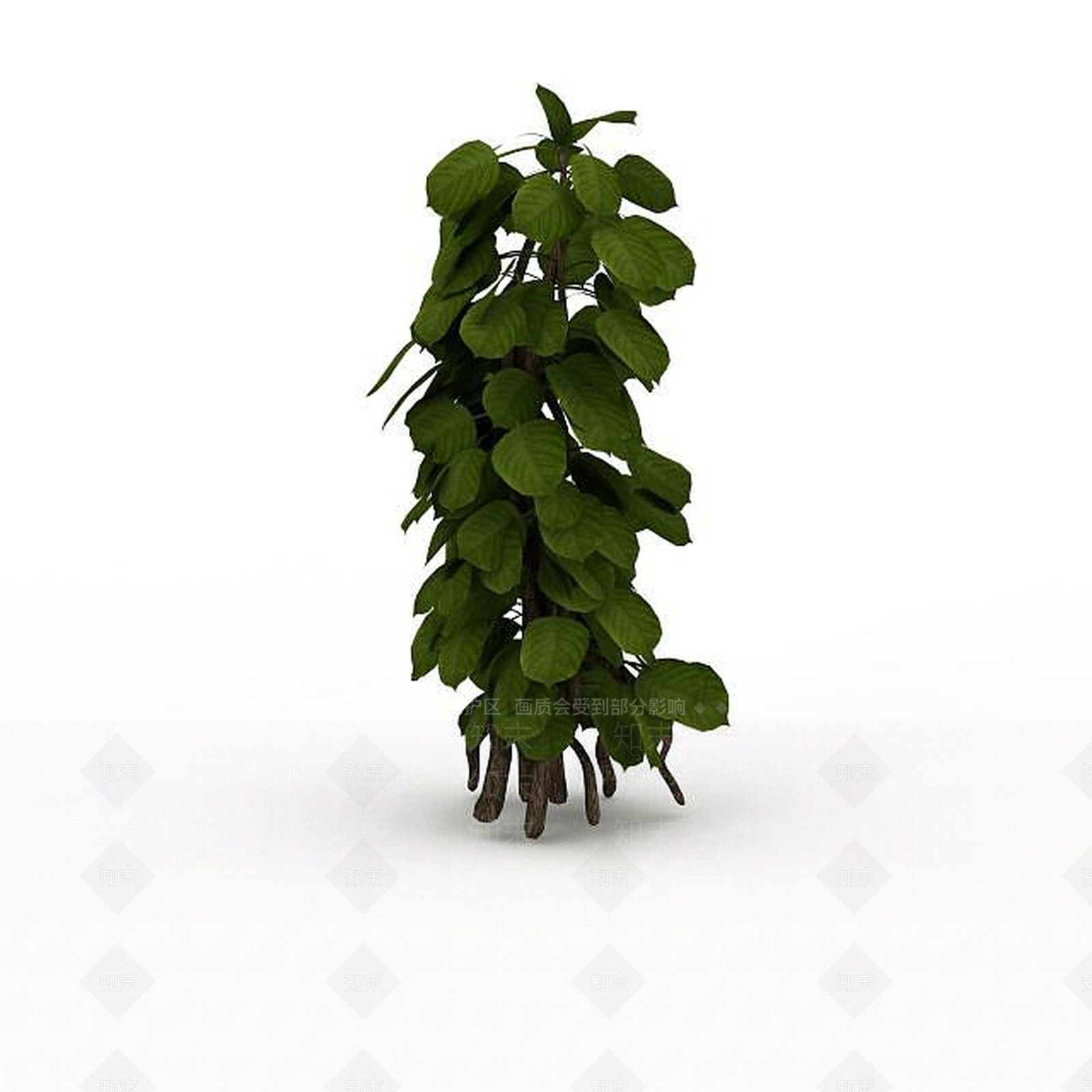 现代观叶植物3D模型下载【ID:1198030830】