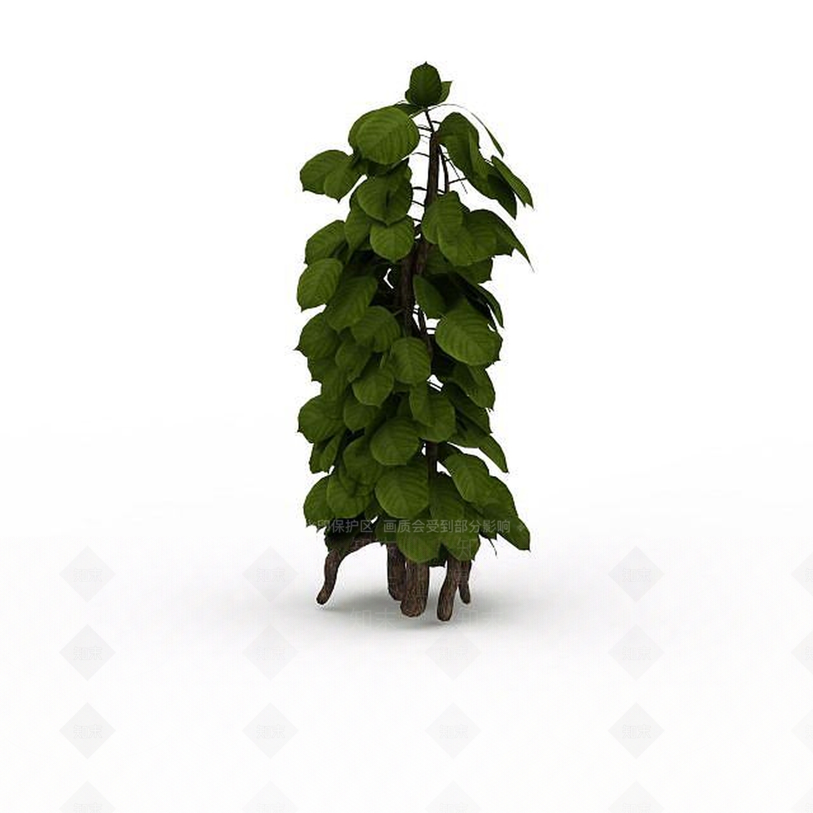 现代观叶植物3D模型下载【ID:1198030830】