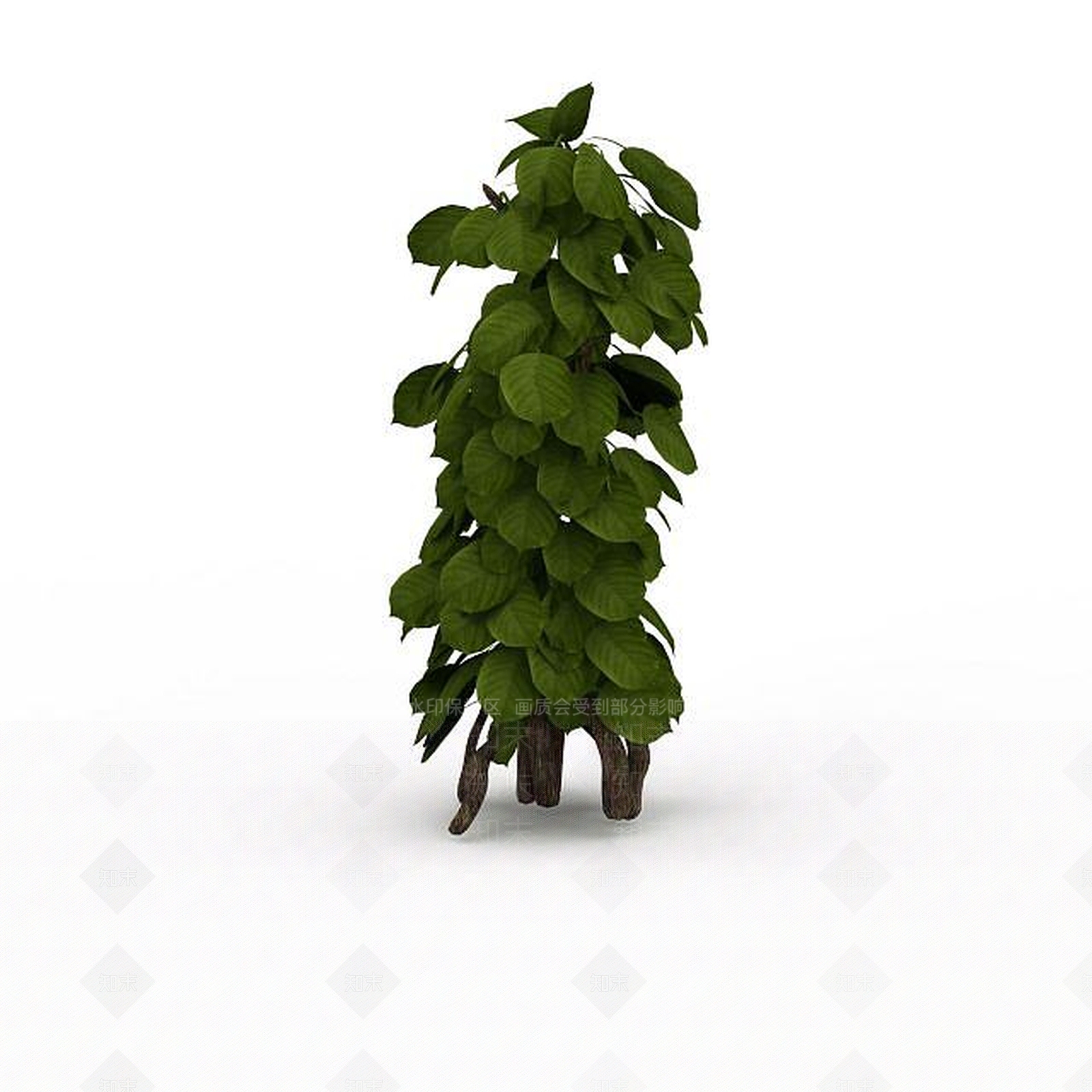 现代观叶植物3D模型下载【ID:1198030830】