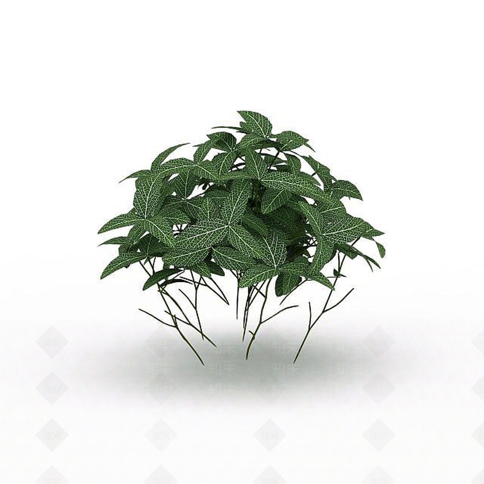 现代观叶植物3D模型下载【ID:1198030934】
