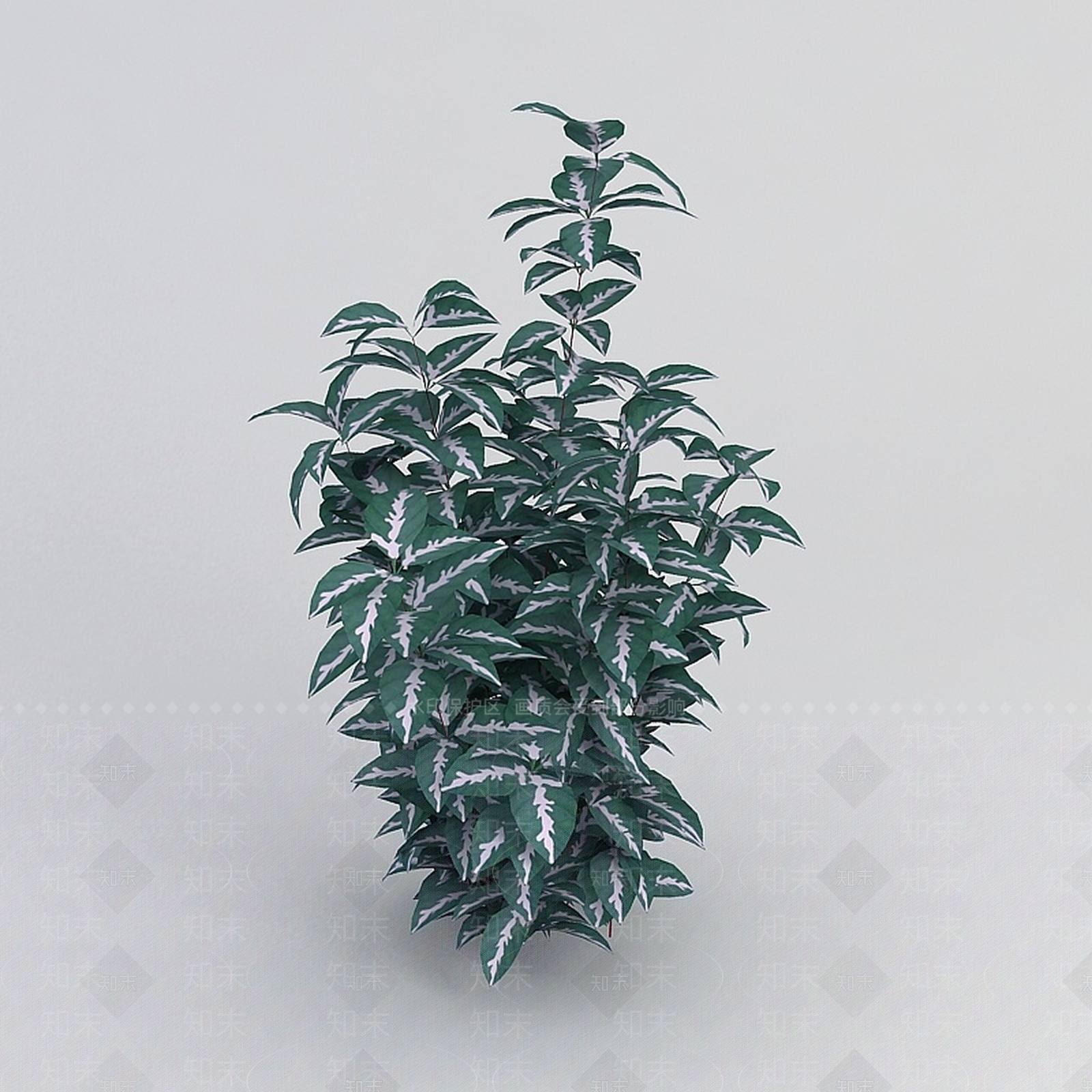 现代观叶绿植3D模型下载【ID:1198030989】