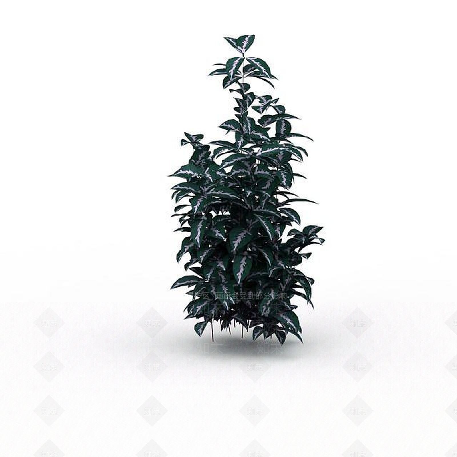 现代观叶绿植3D模型下载【ID:1198030989】