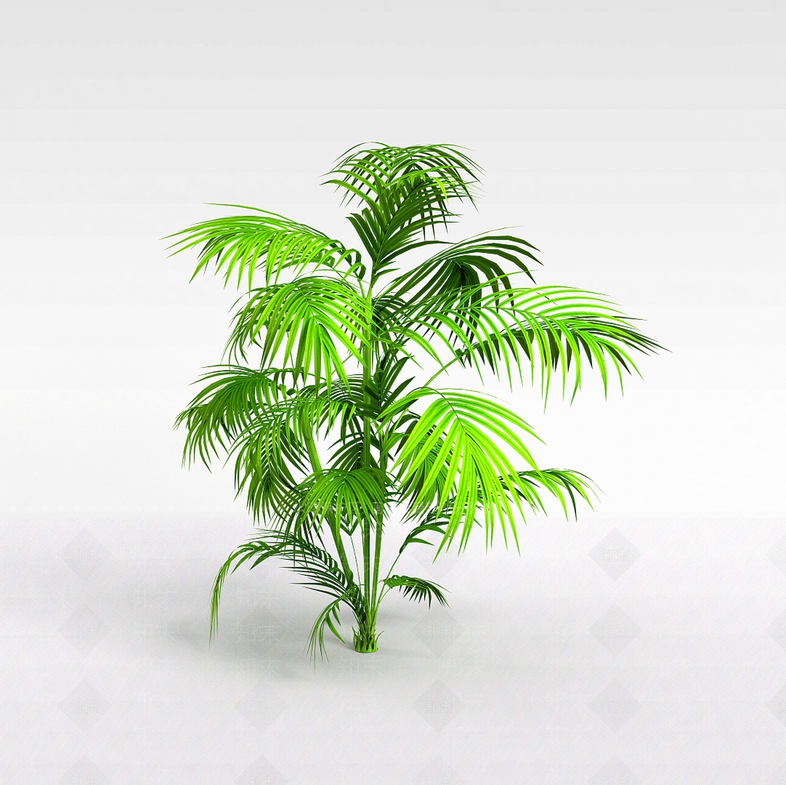现代热带灌木3D模型下载【ID:1198031055】