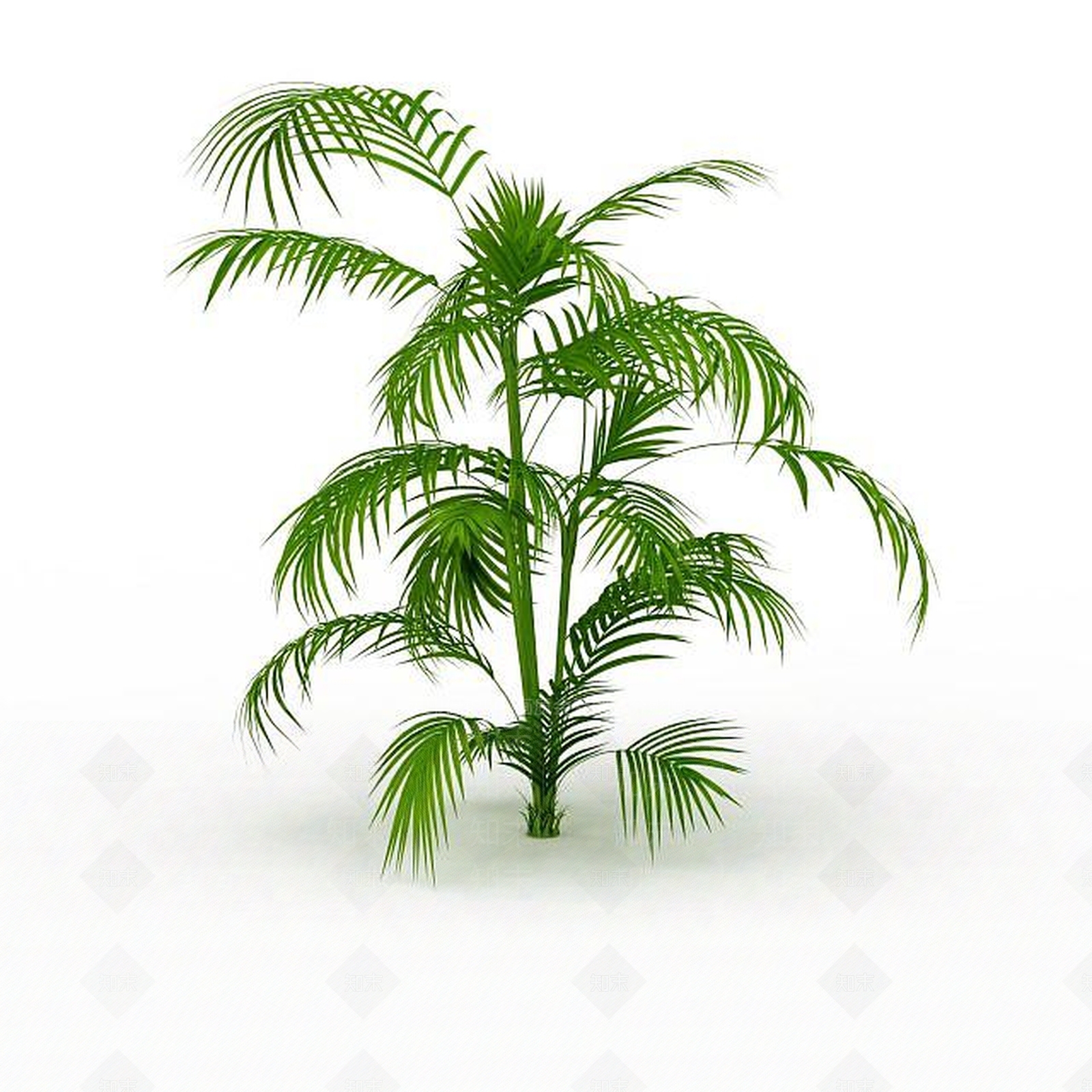 现代热带灌木3D模型下载【ID:1198031055】