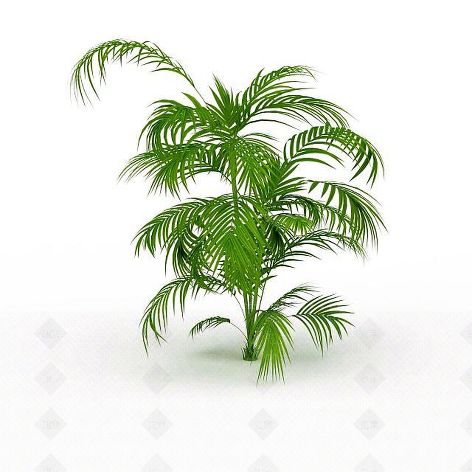 现代热带灌木3D模型下载【ID:1198031055】