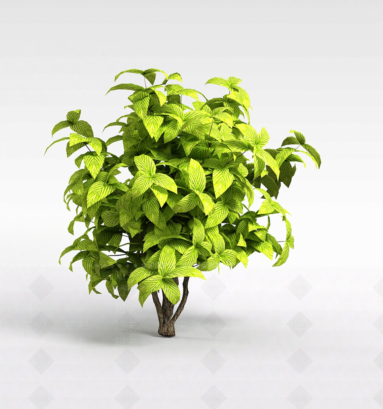 现代绿色矮灌木3D模型下载【ID:1198031101】