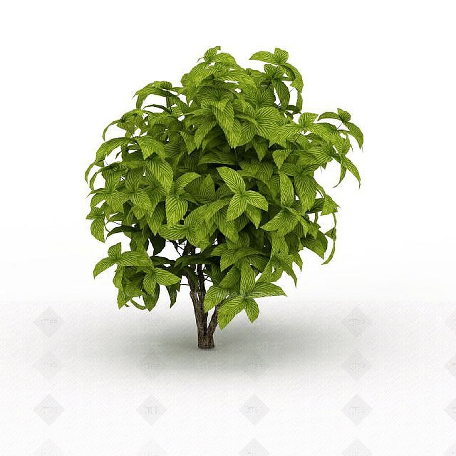 现代绿色矮灌木3D模型下载【ID:1198031101】