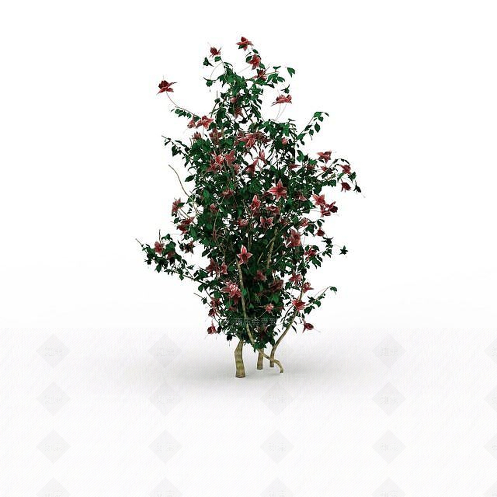 现代开花灌木3D模型下载【ID:1198031293】