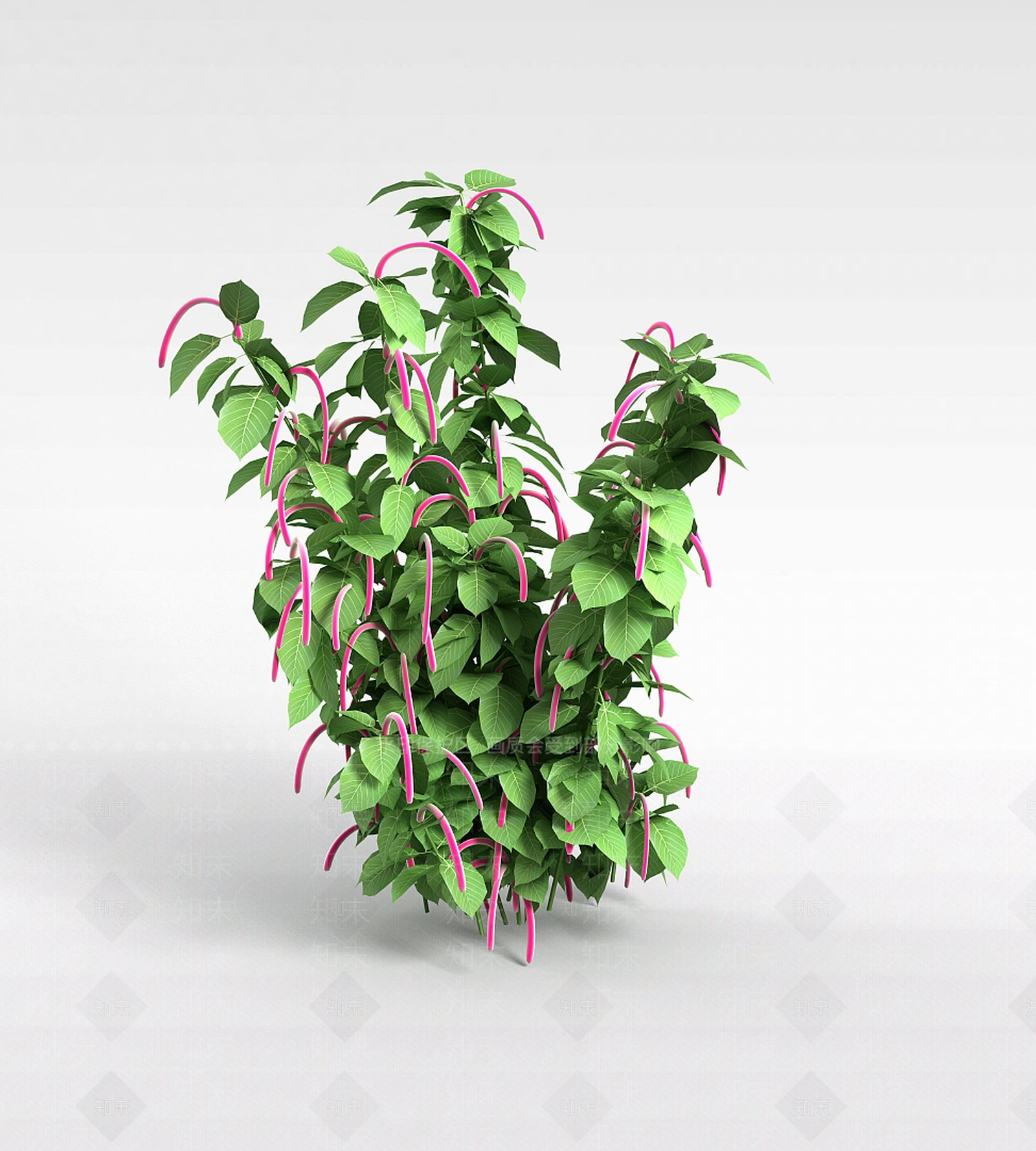 现代公园装饰绿植3D模型下载【ID:1198031411】