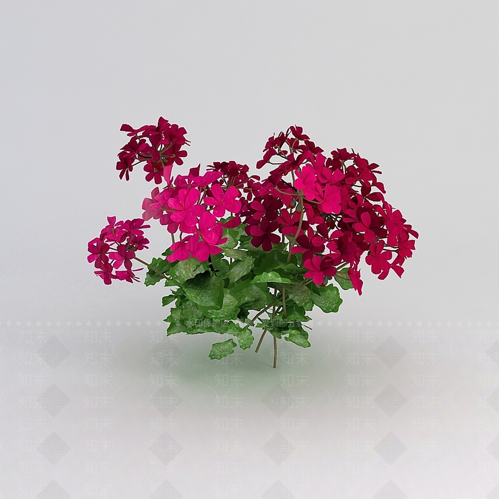 现代观赏绿植3D模型下载【ID:1198031668】