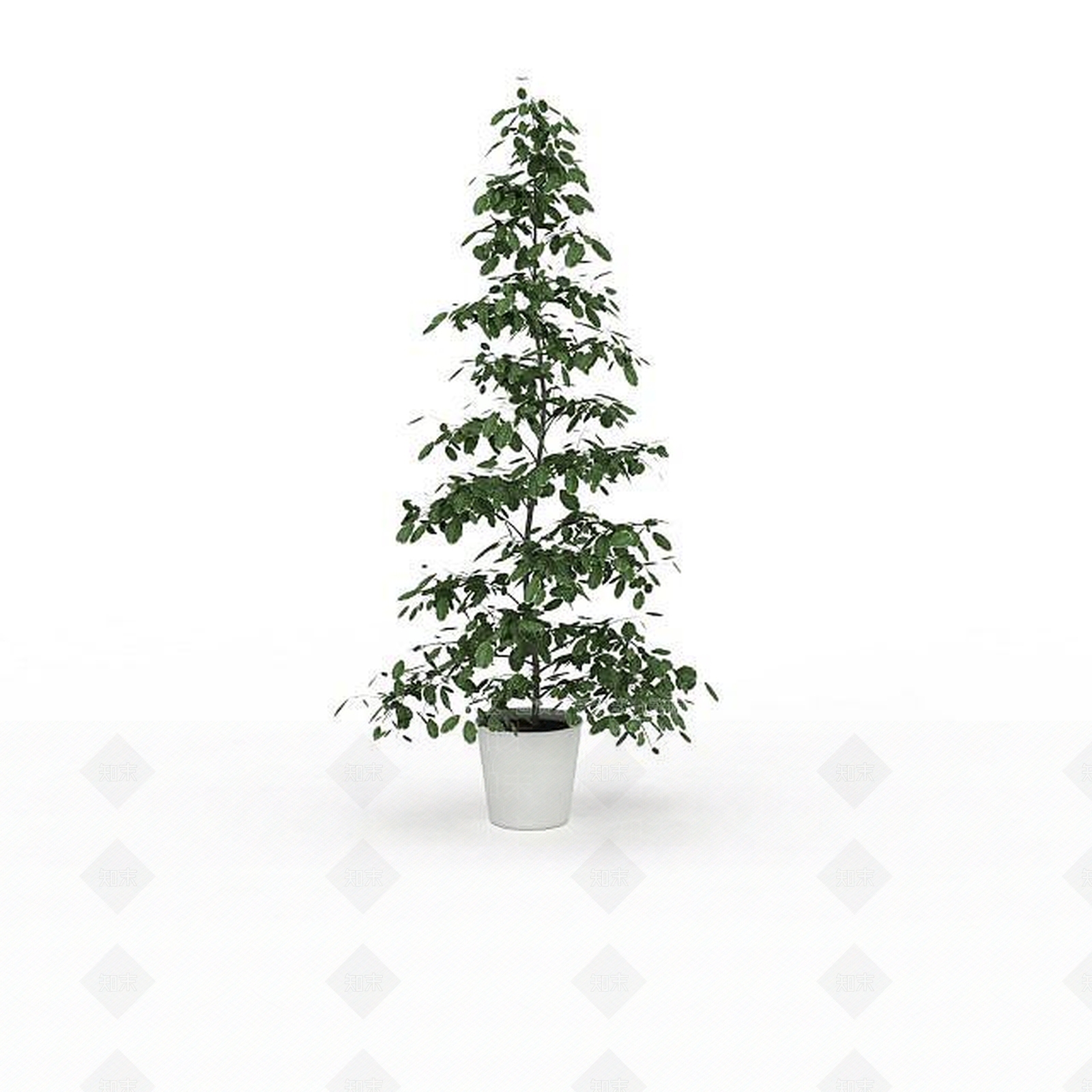 现代绿植盆栽3D模型下载【ID:1198031879】