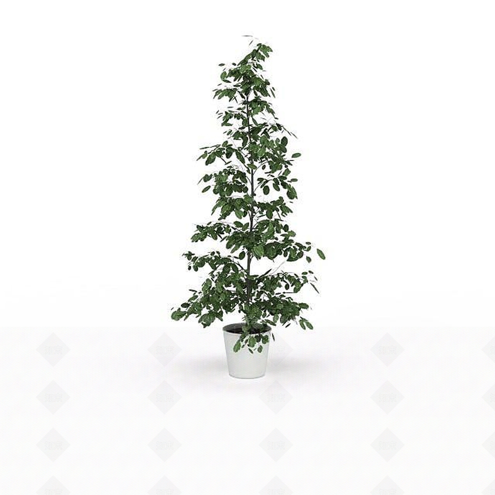 现代绿植盆栽3D模型下载【ID:1198031879】