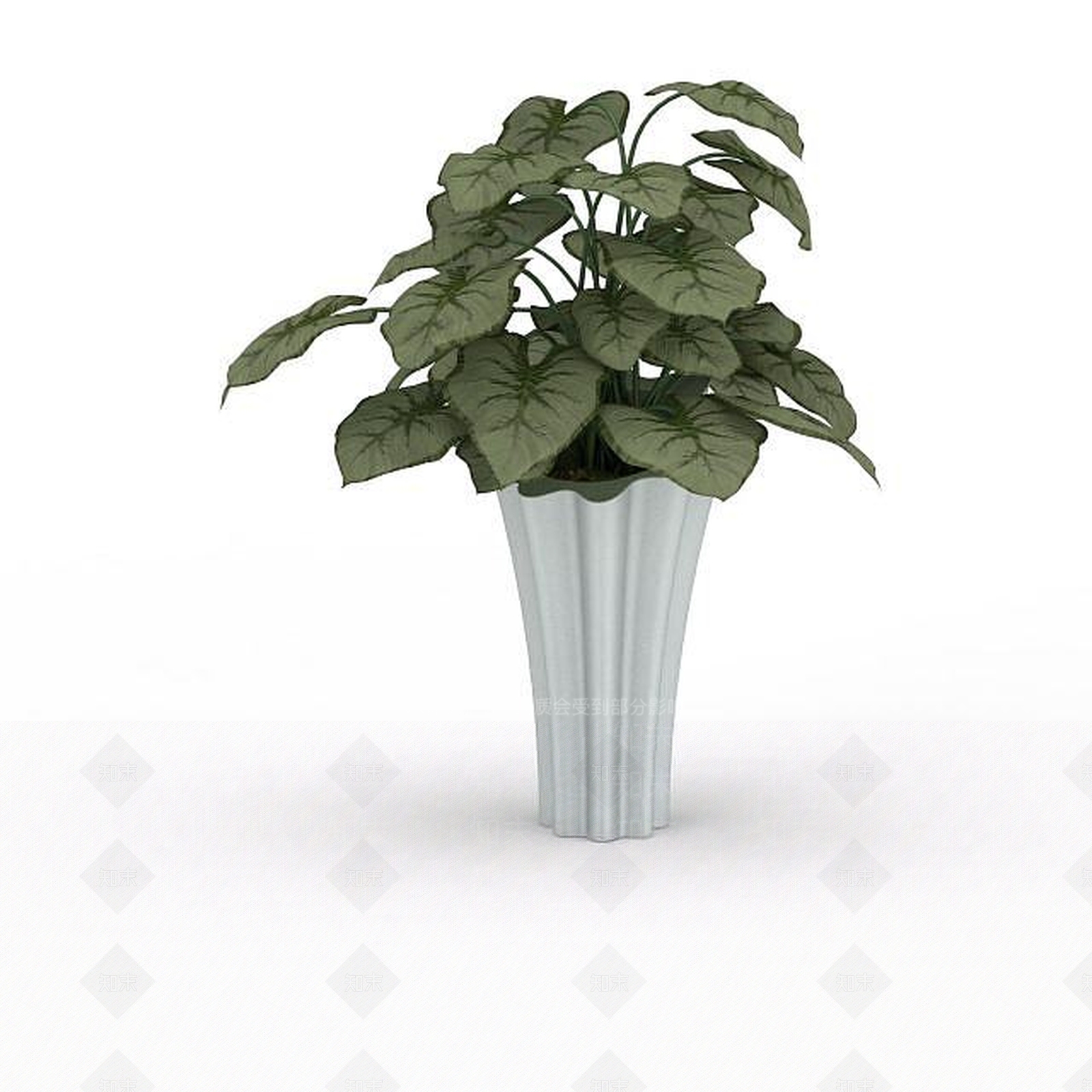 现代观叶花盆3D模型下载【ID:1198032066】