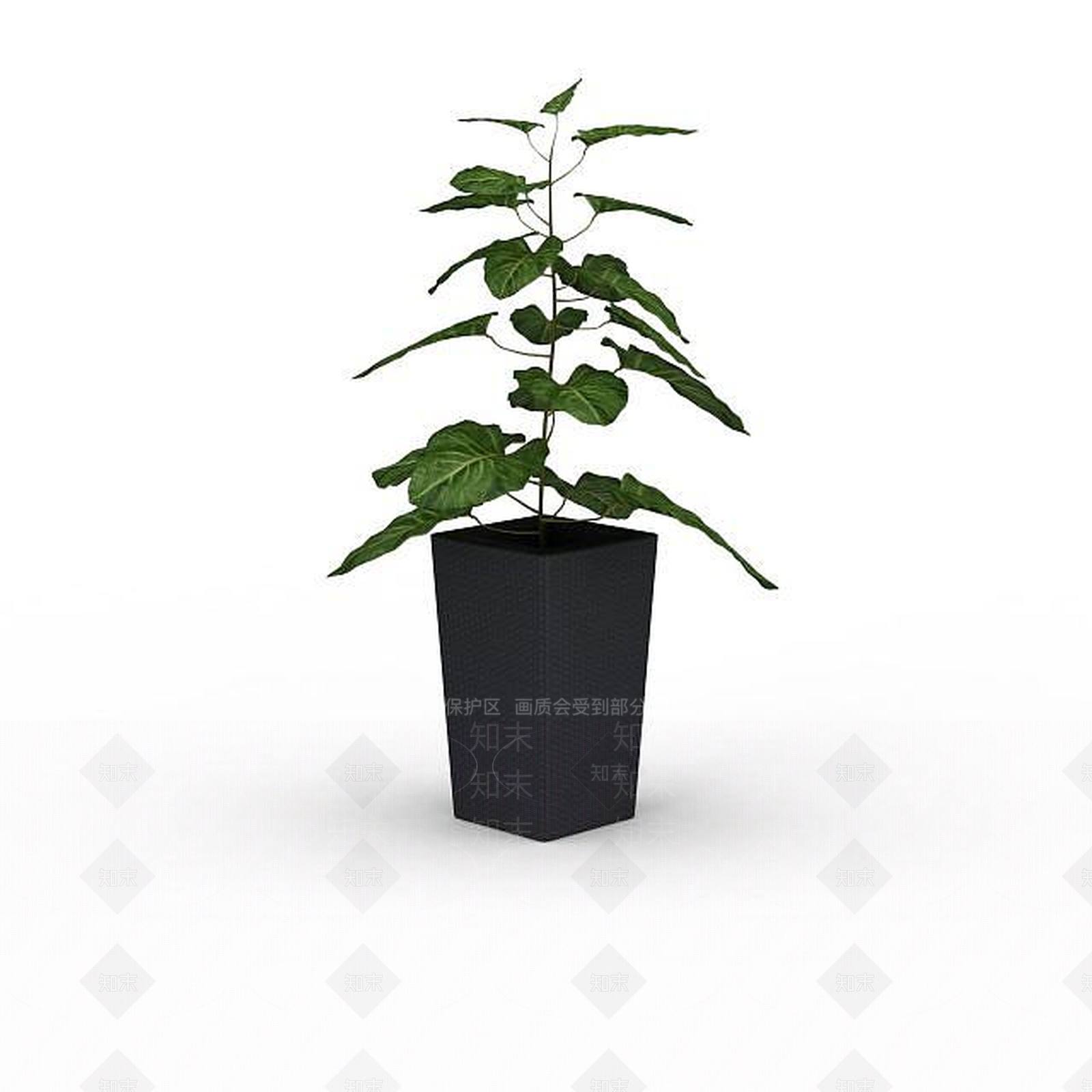 现代观赏绿植花盆3D模型下载【ID:1198032191】