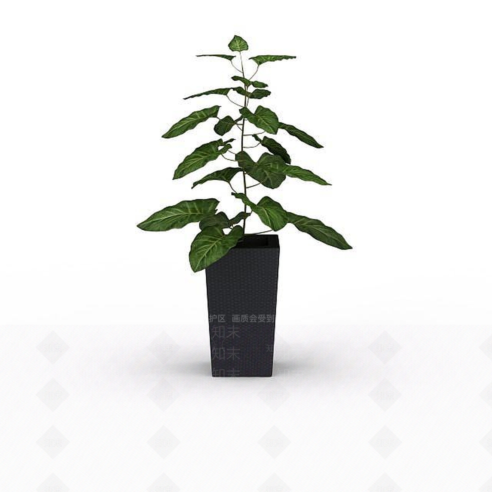 现代观赏绿植花盆3D模型下载【ID:1198032191】