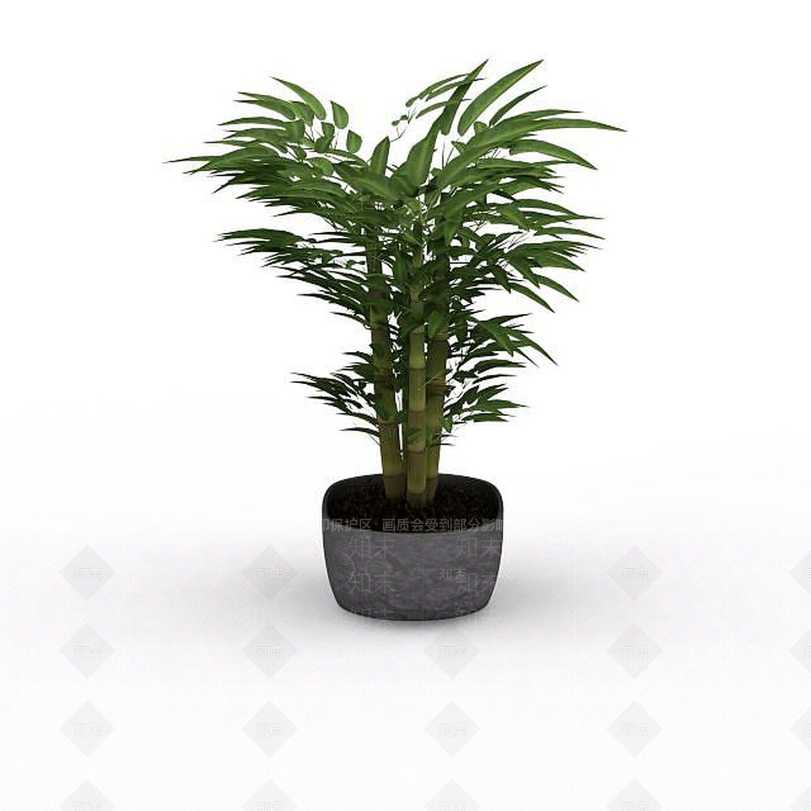 现代矮竹子盆景3D模型下载【ID:1198032198】