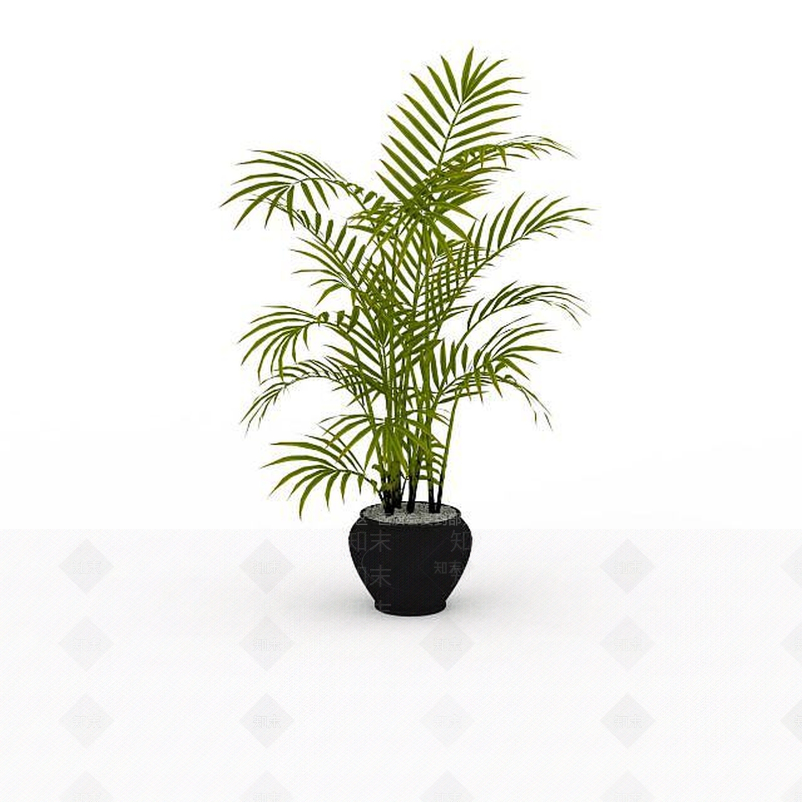 现代观叶盆栽3D模型下载【ID:1198032119】