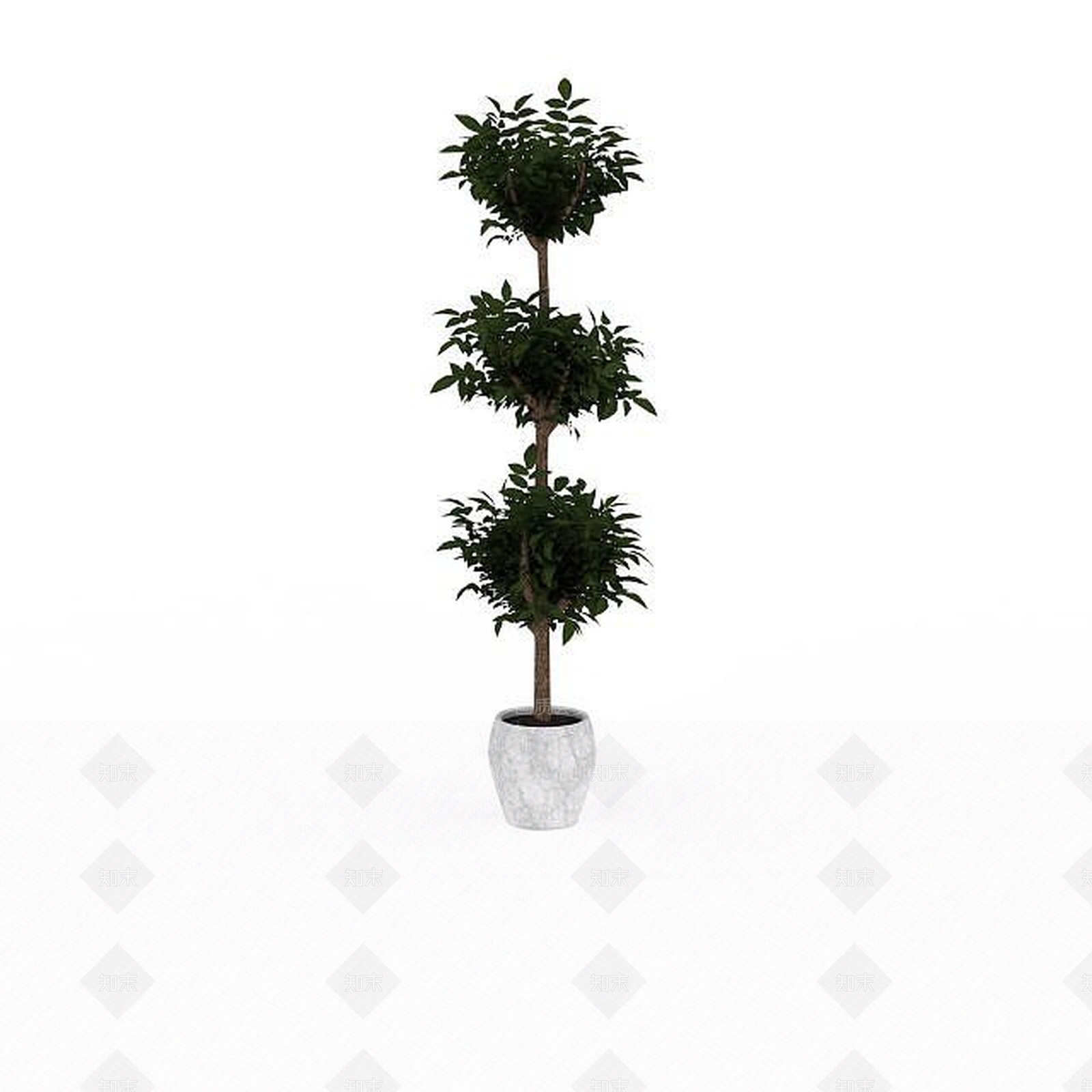 现代观赏树盆栽3D模型下载【ID:1198032414】