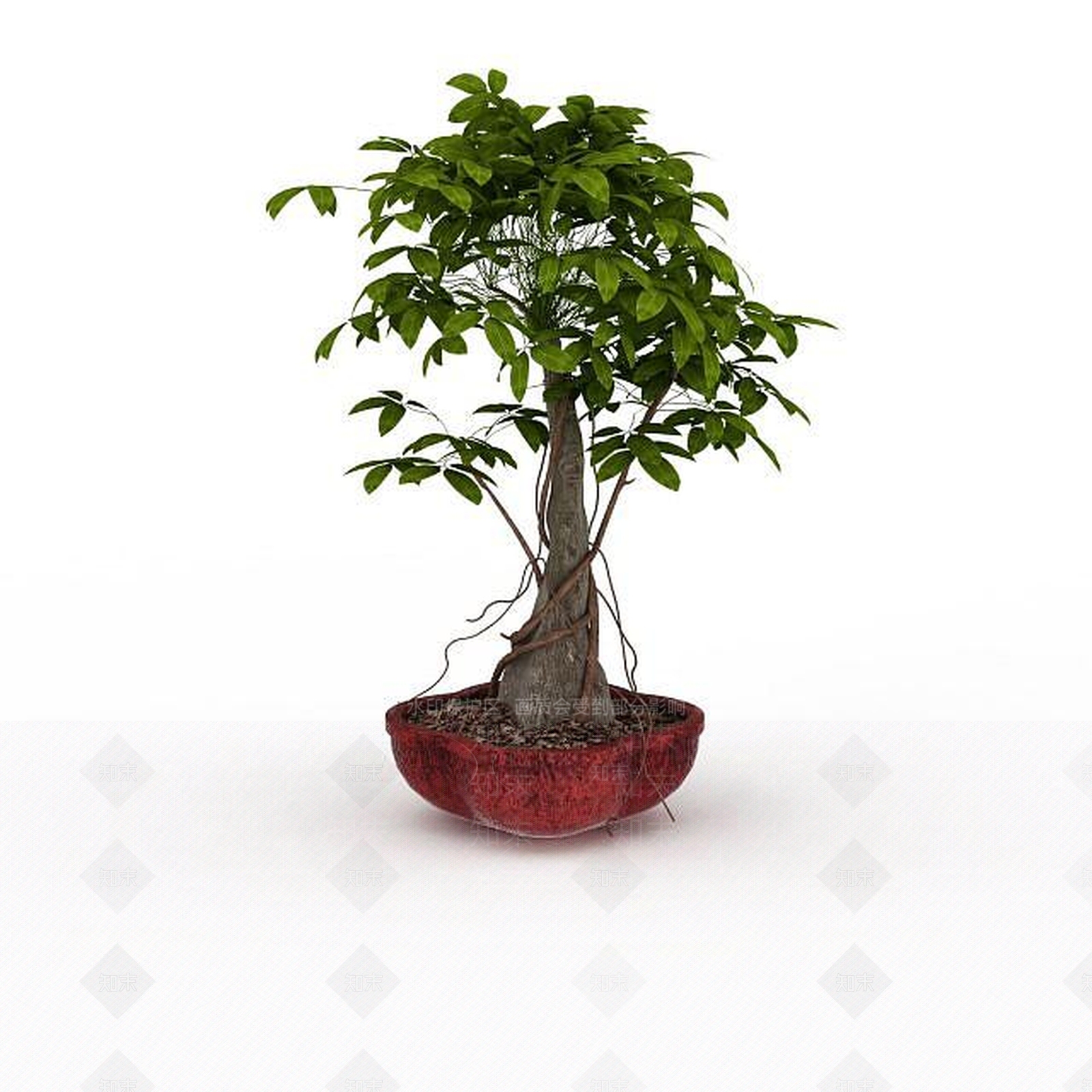 现代观叶树盆栽3D模型下载【ID:1198032439】