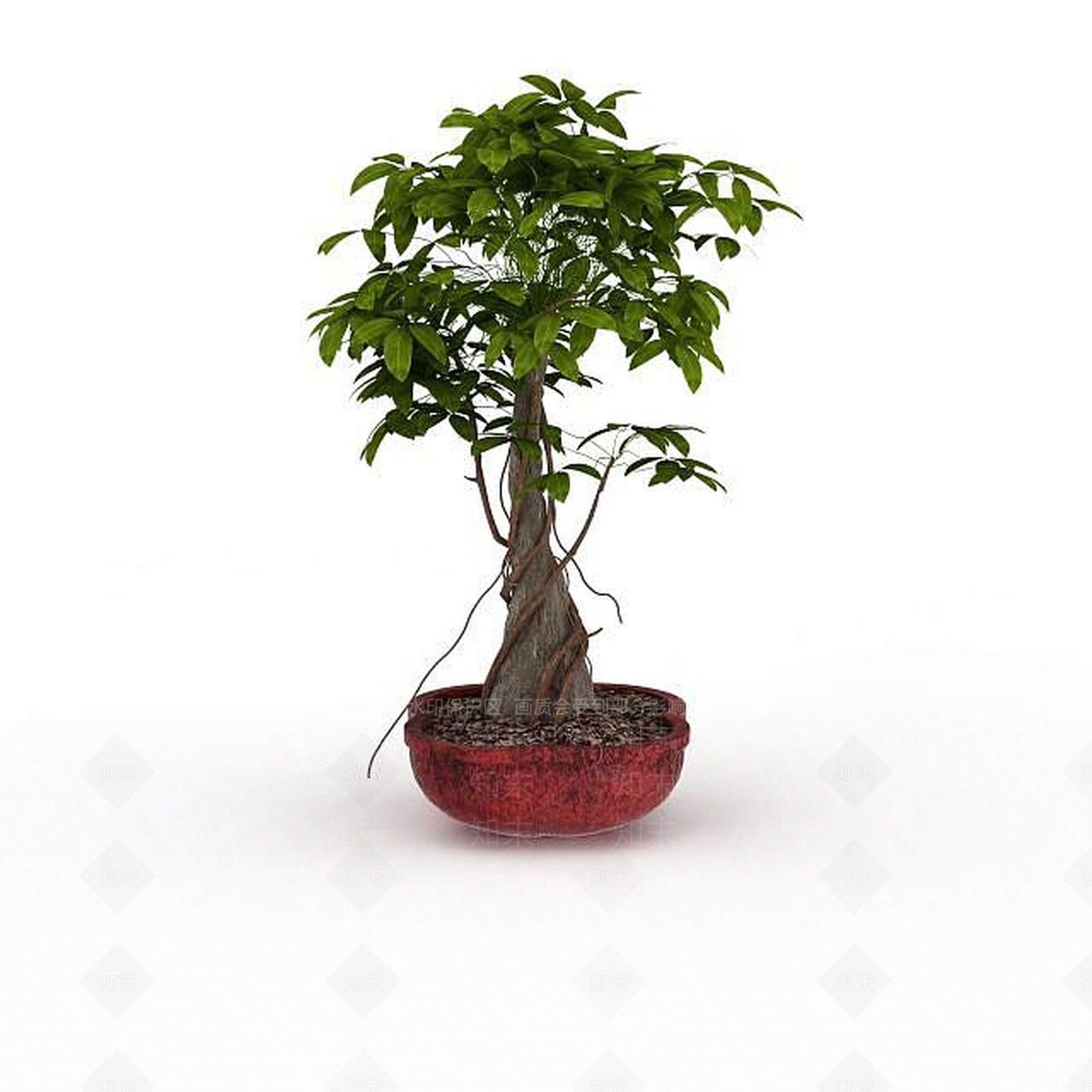 现代观叶树盆栽3D模型下载【ID:1198032439】