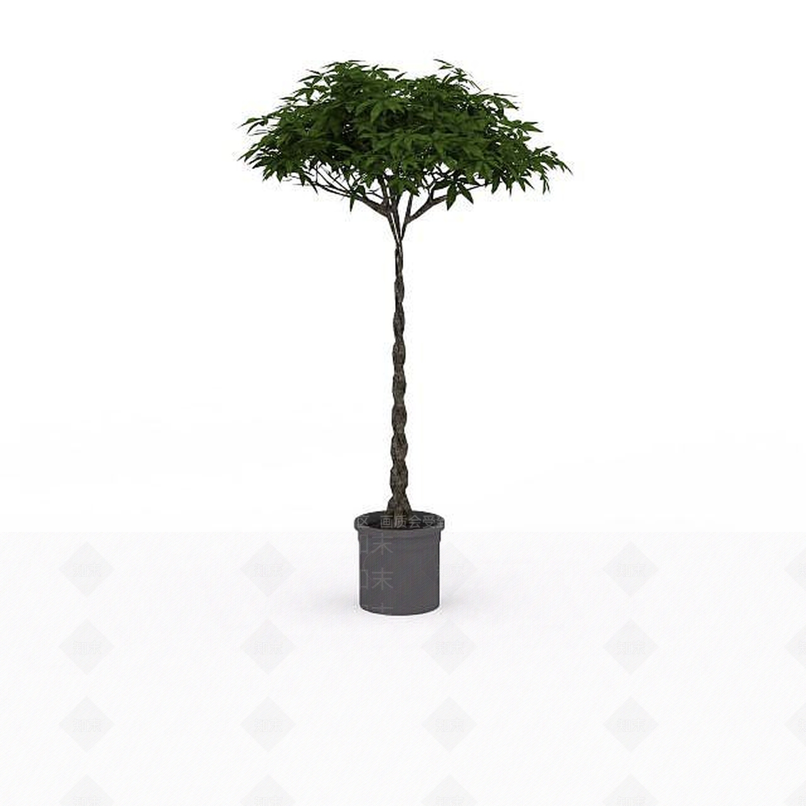 现代观赏树盆景3D模型下载【ID:1198032606】