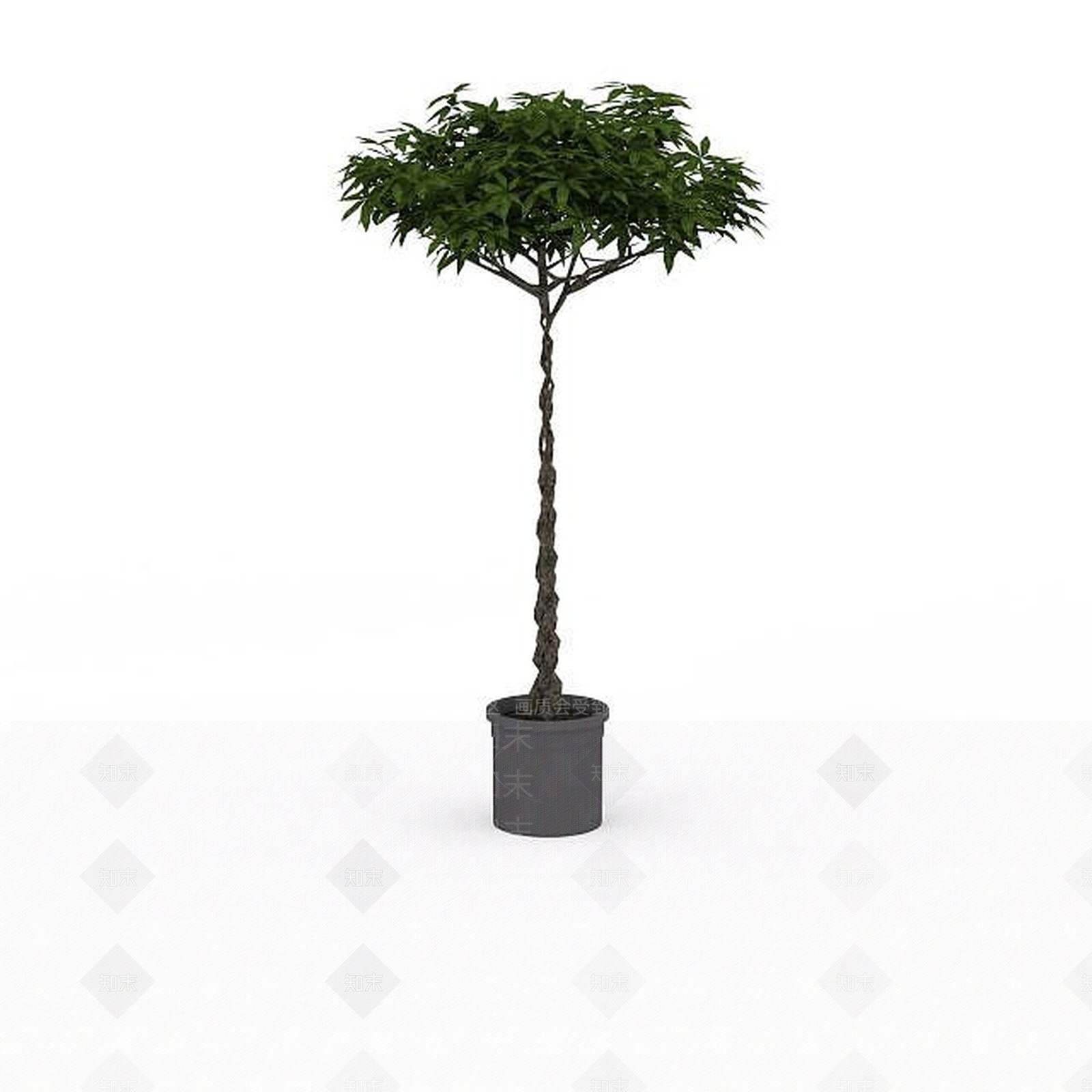 现代观赏树盆景3D模型下载【ID:1198032606】