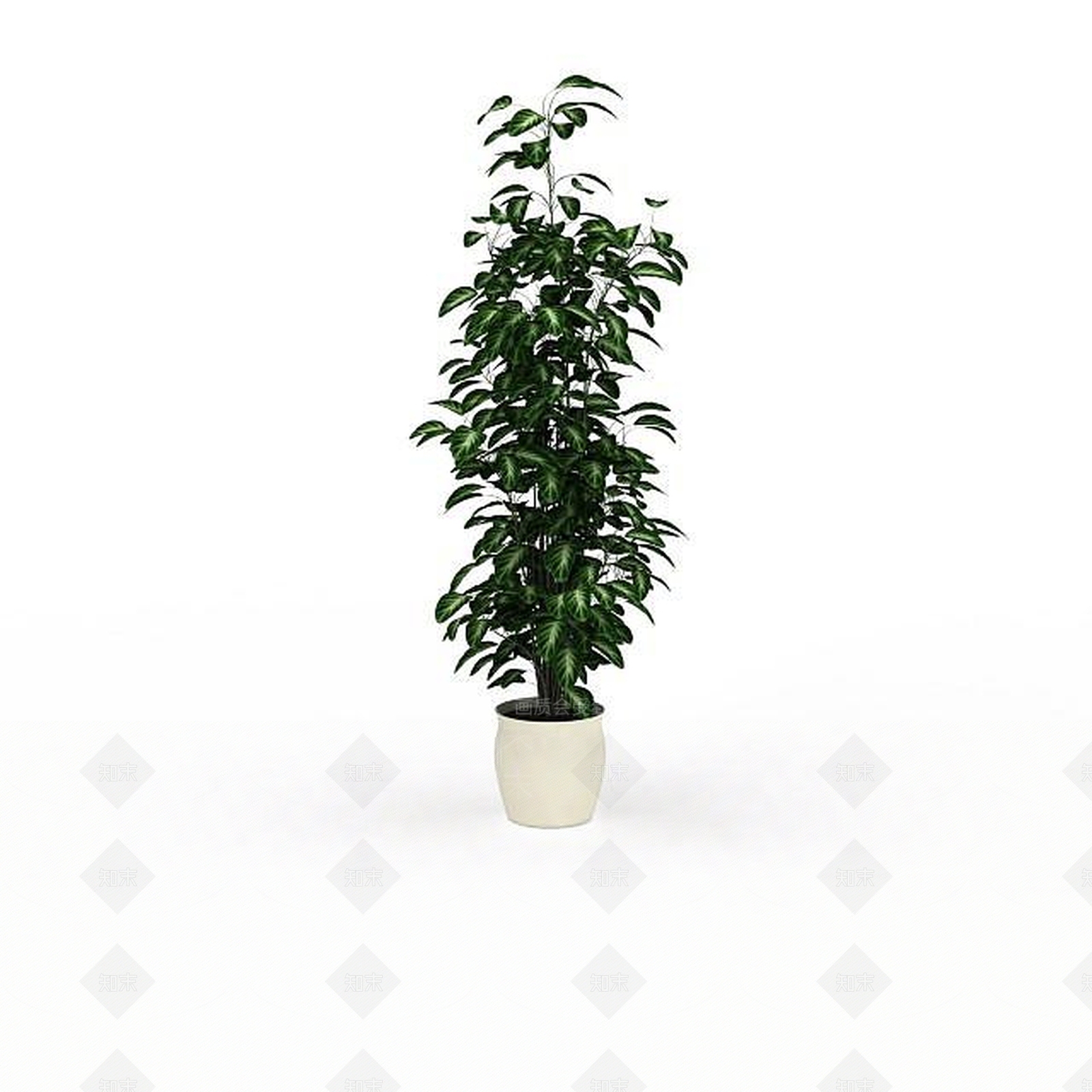 现代绿叶植物盆栽3D模型下载【ID:1198032742】