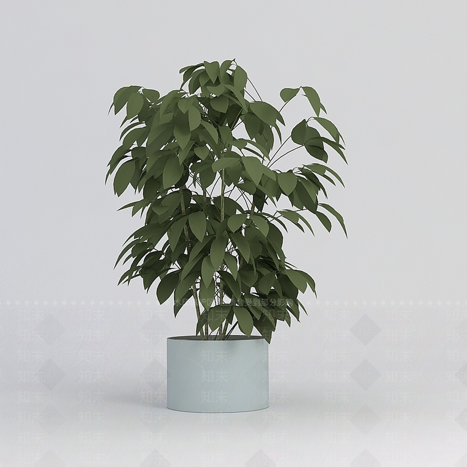 现代室内观叶绿植盆栽3D模型下载【ID:1198032902】