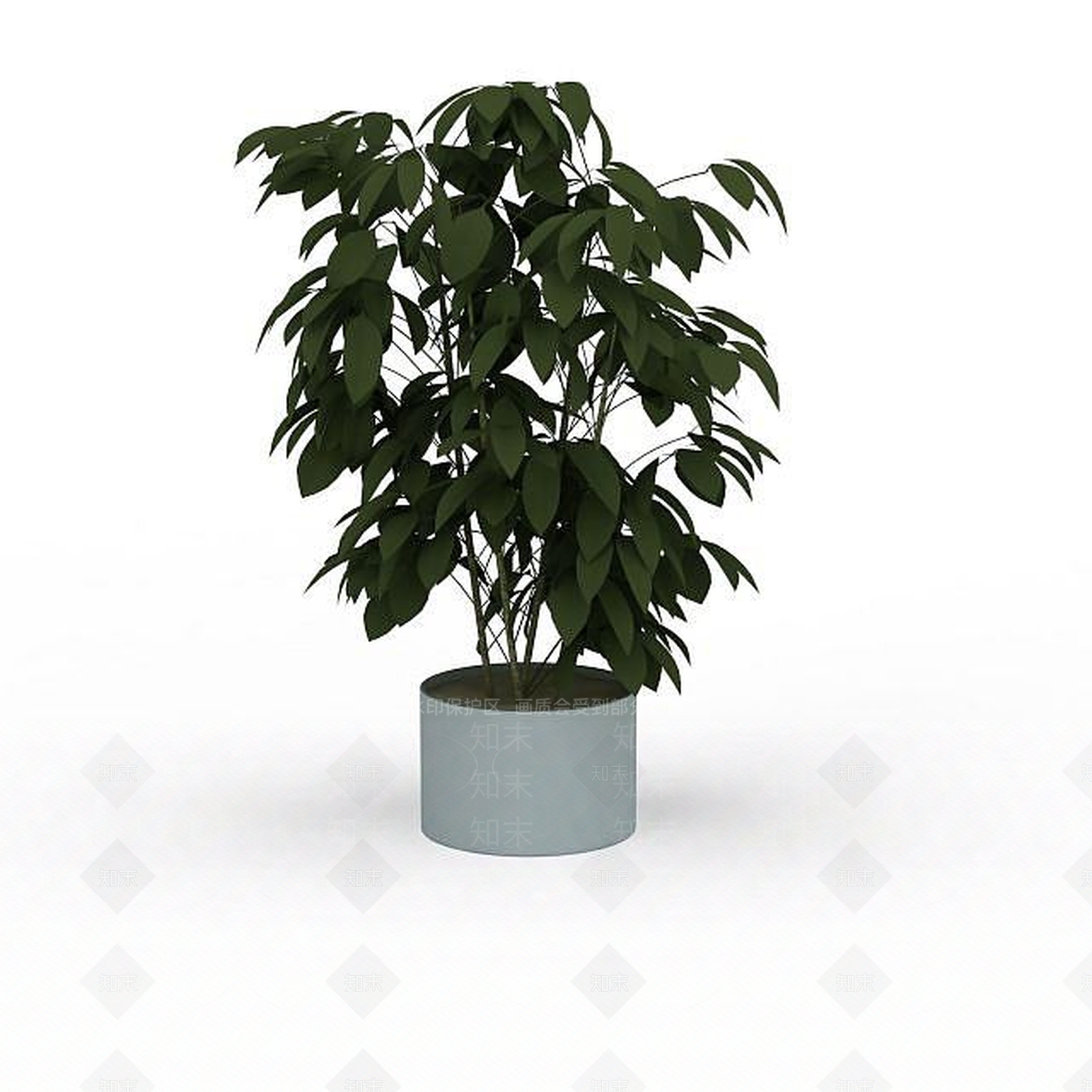 现代室内观叶绿植盆栽3D模型下载【ID:1198032902】
