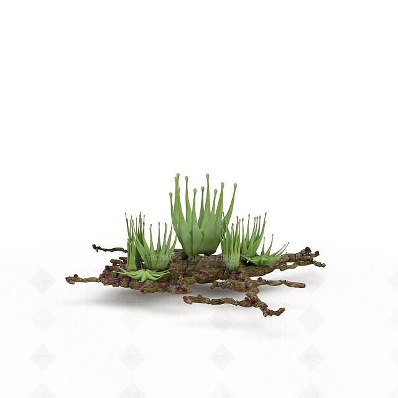 现代海底景观植物3D模型下载【ID:1198033182】