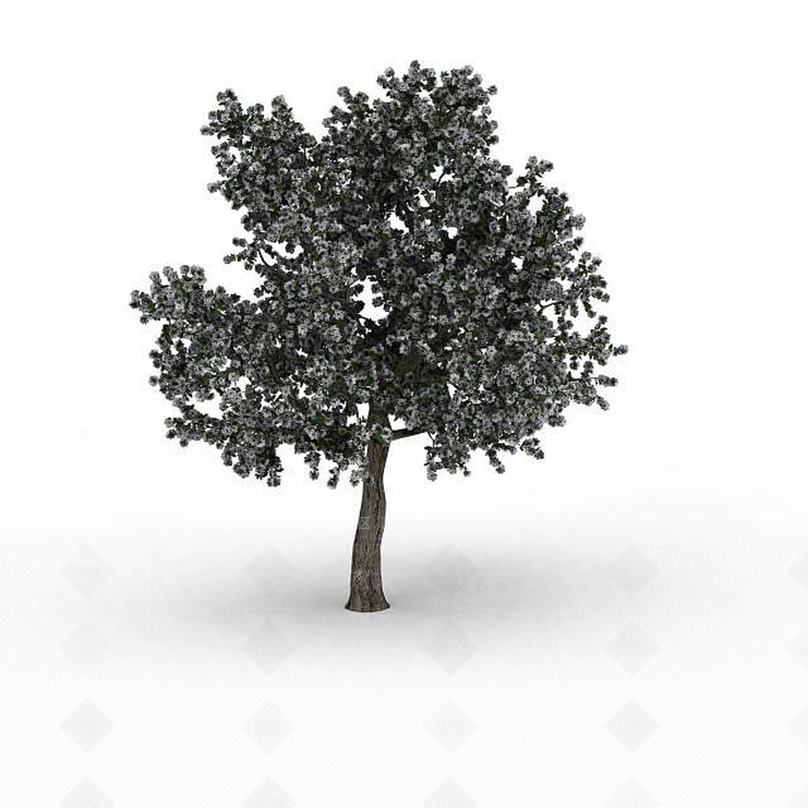 现代开花大树3D模型下载【ID:1198033264】
