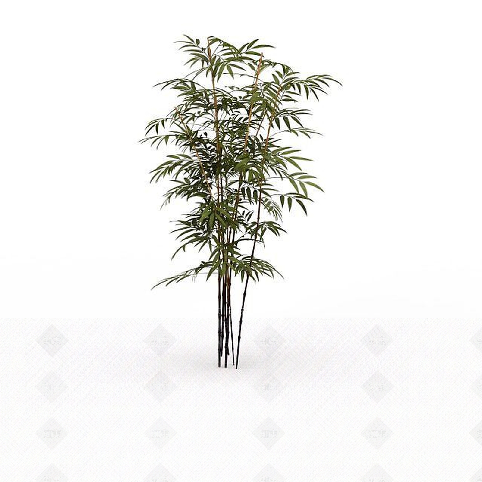 现代庭院竹子3D模型下载【ID:1198033489】